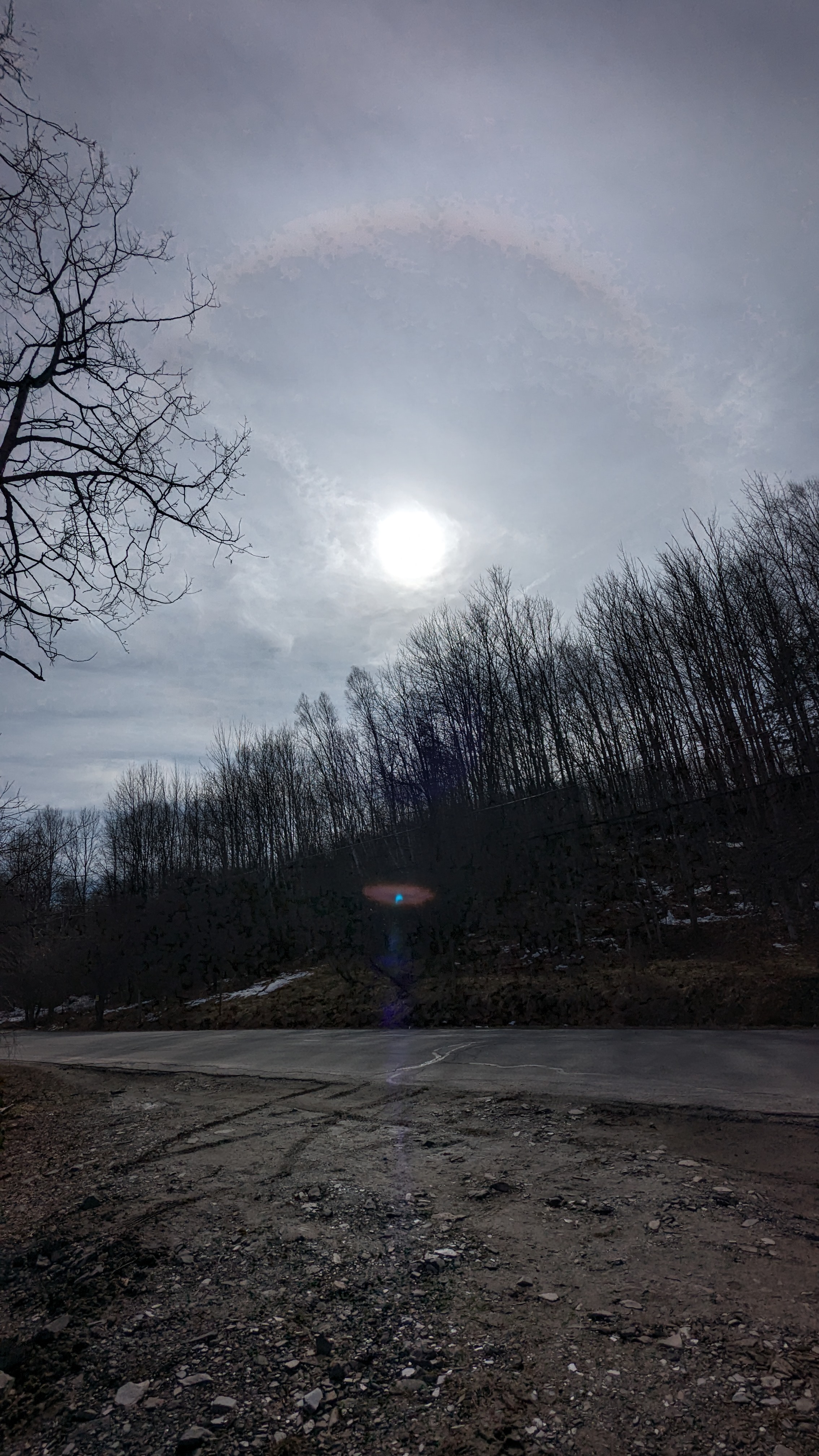 PXL_20240408_200419496.RAW-01.MP.COVER.jpg