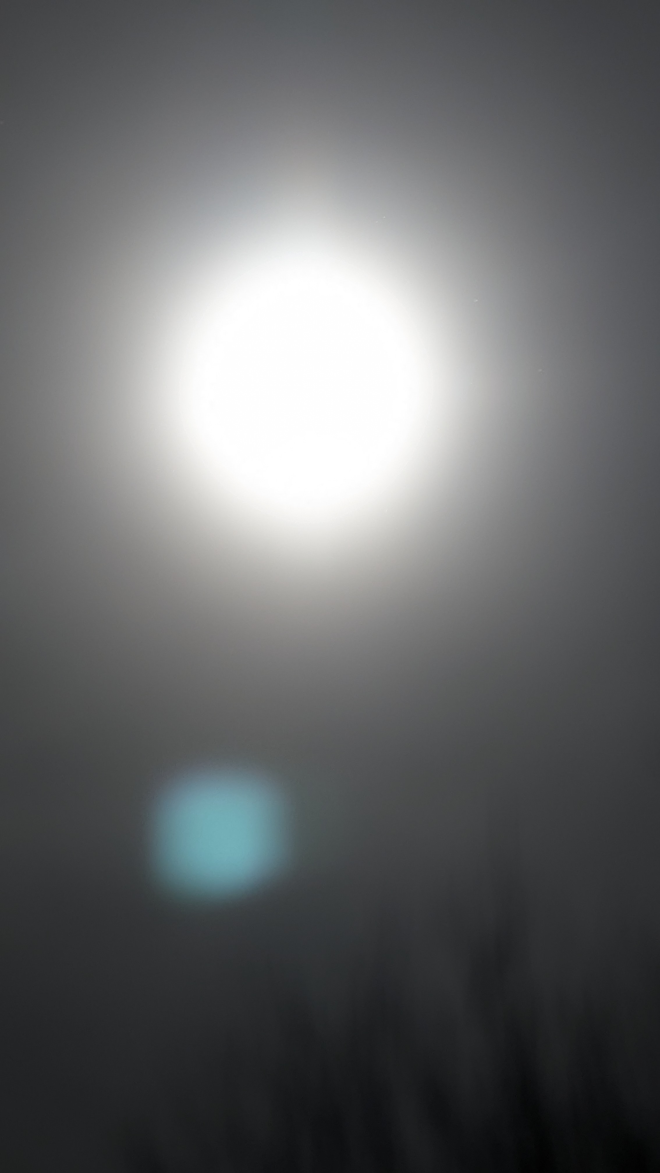 PXL_20240408_200959555.RAW-01.MP.COVER.jpg