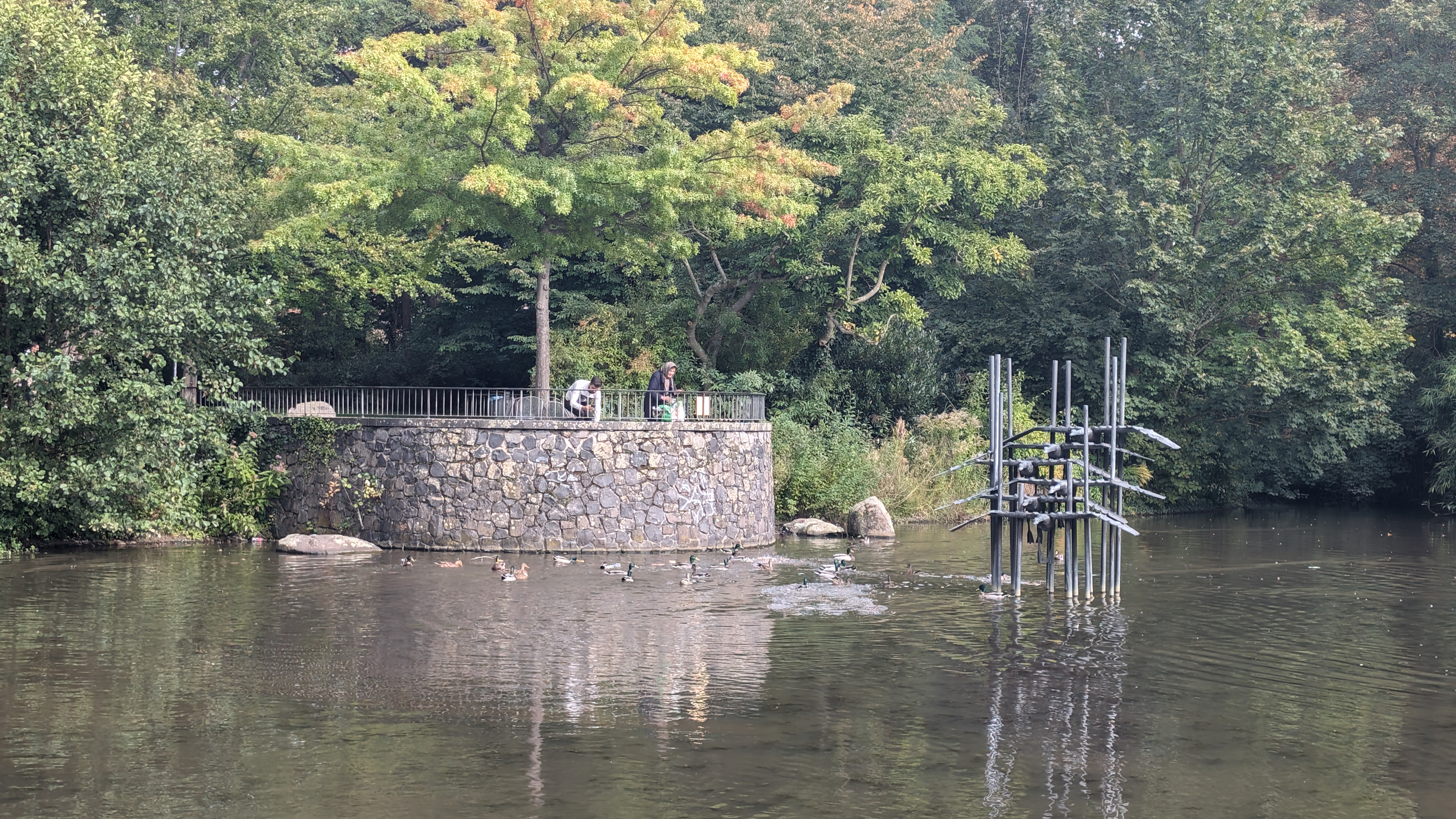 PXL_20240929_125006795.RAW-01.COVER.jpg