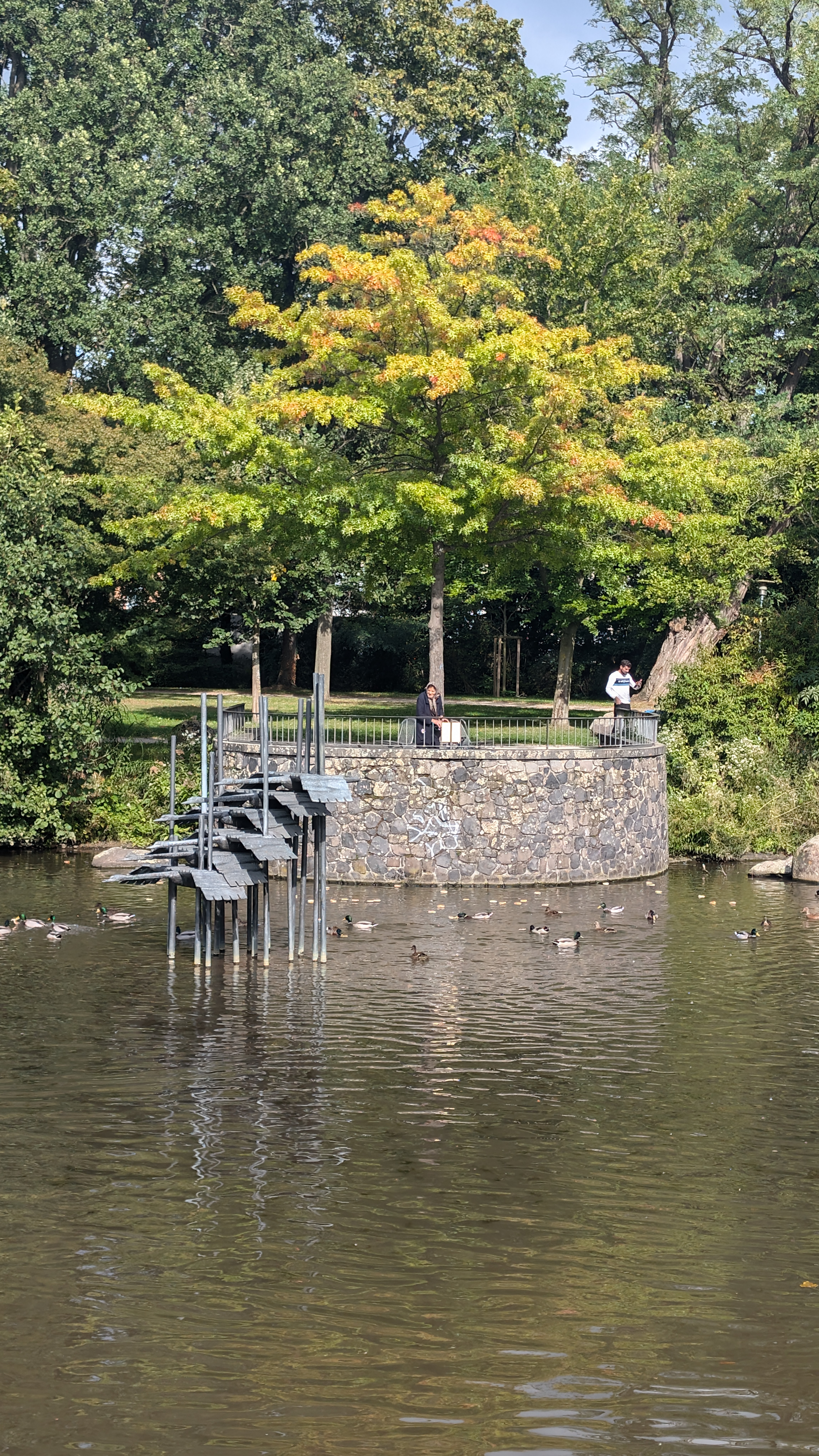 PXL_20240929_125148206.RAW-01.COVER.jpg