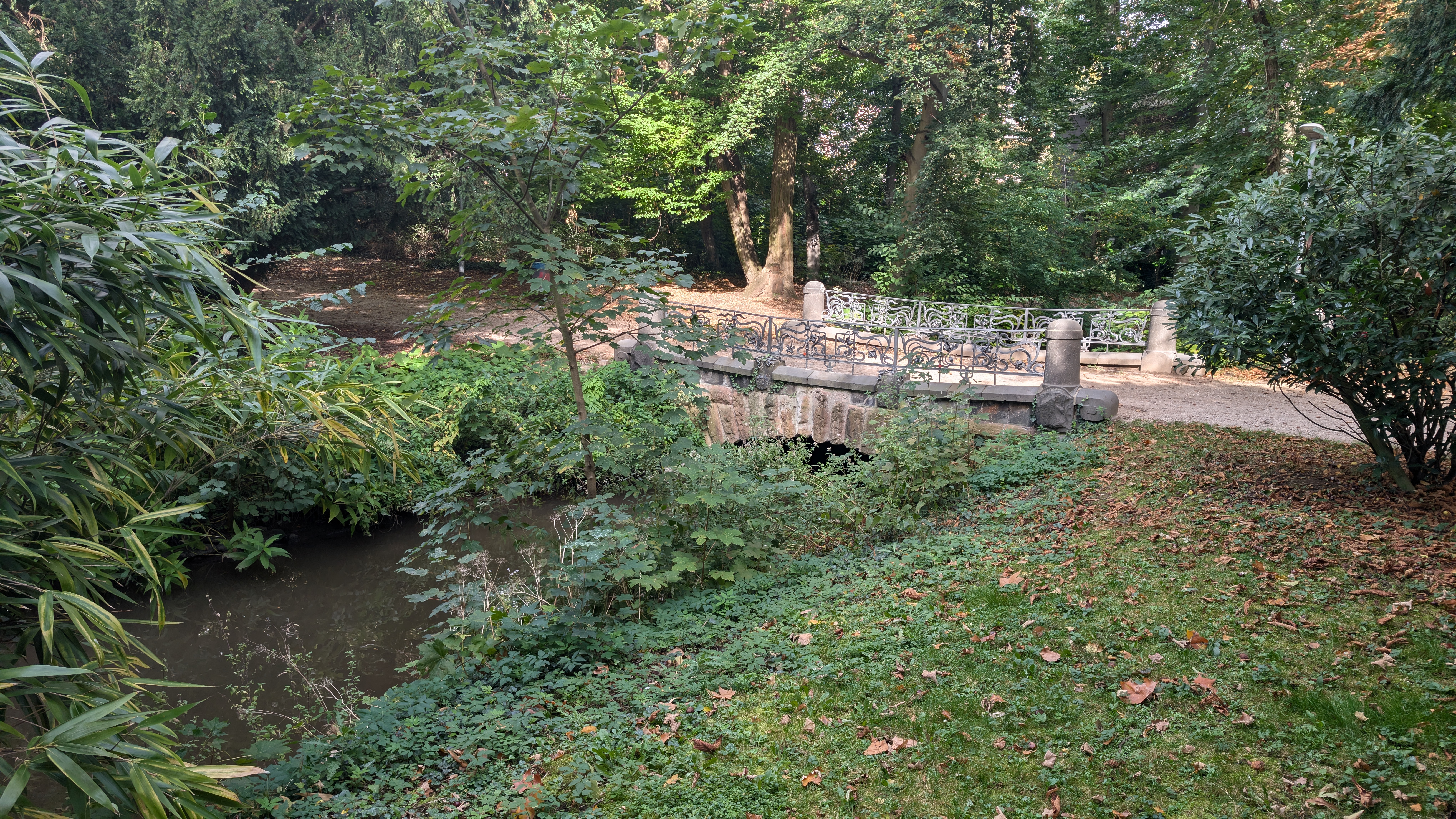 PXL_20240929_125246067.RAW-01.COVER.jpg