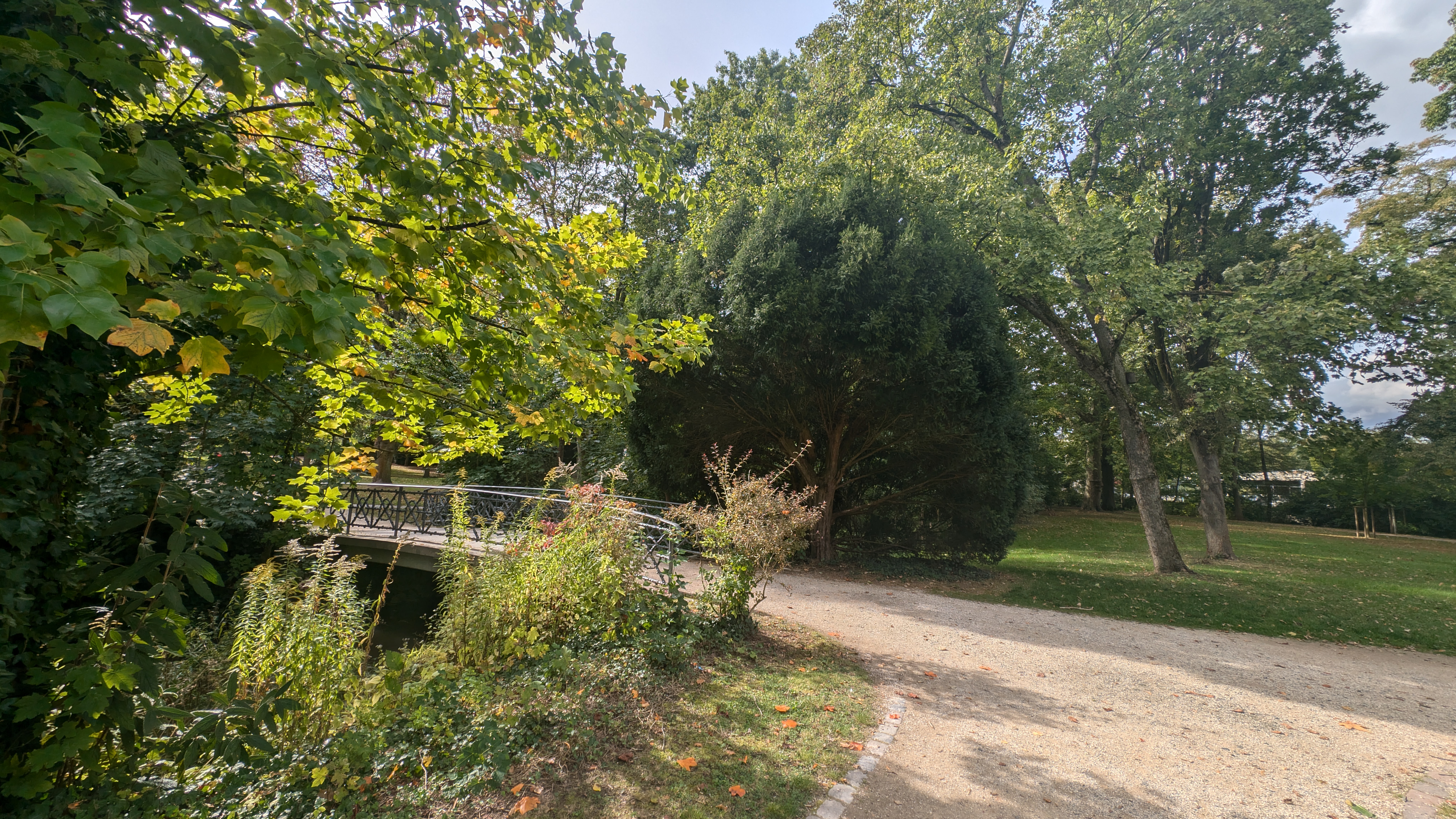 PXL_20240929_130023851.RAW-01.COVER.jpg