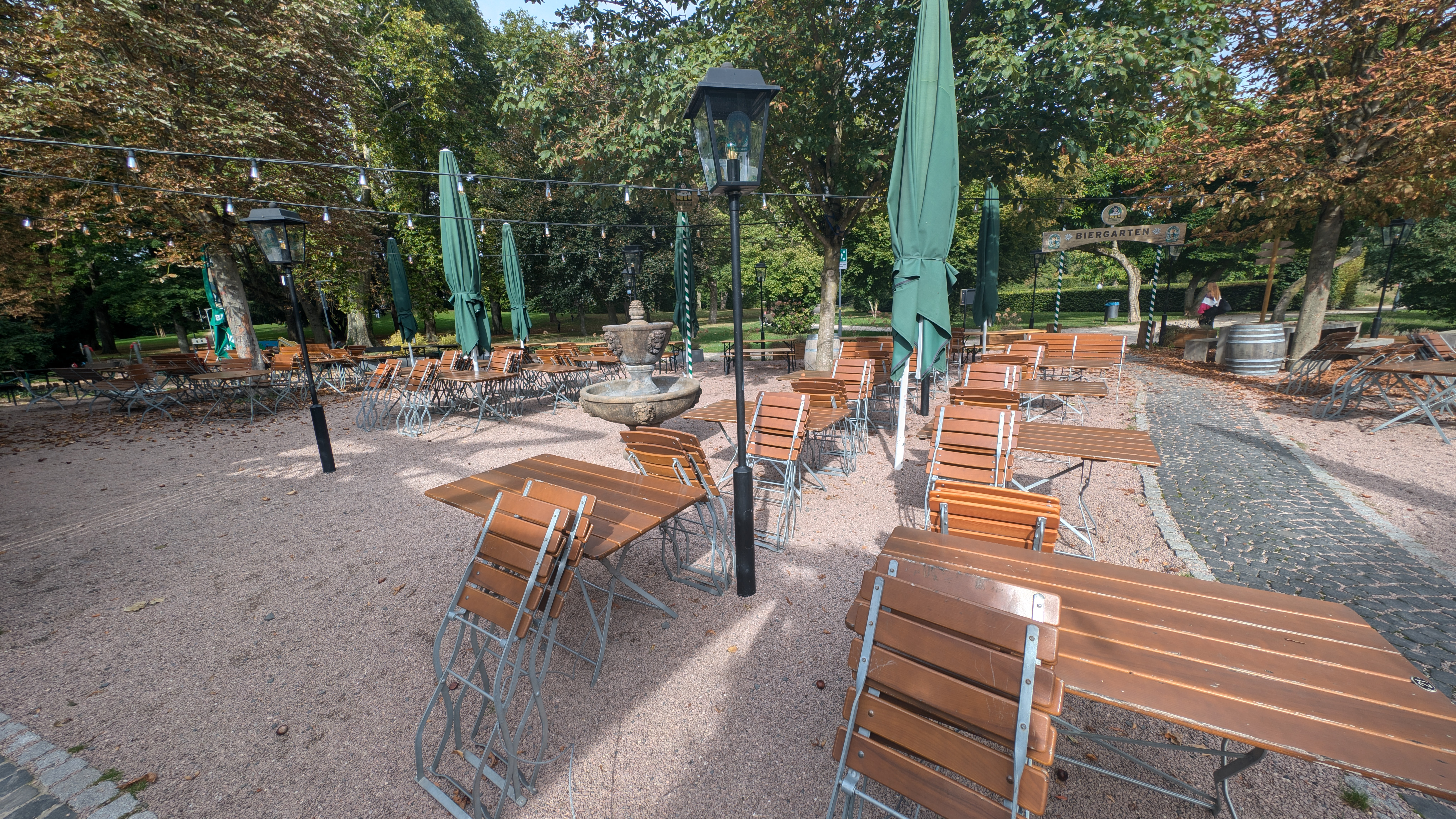 PXL_20240929_130224953.RAW-01.COVER.jpg