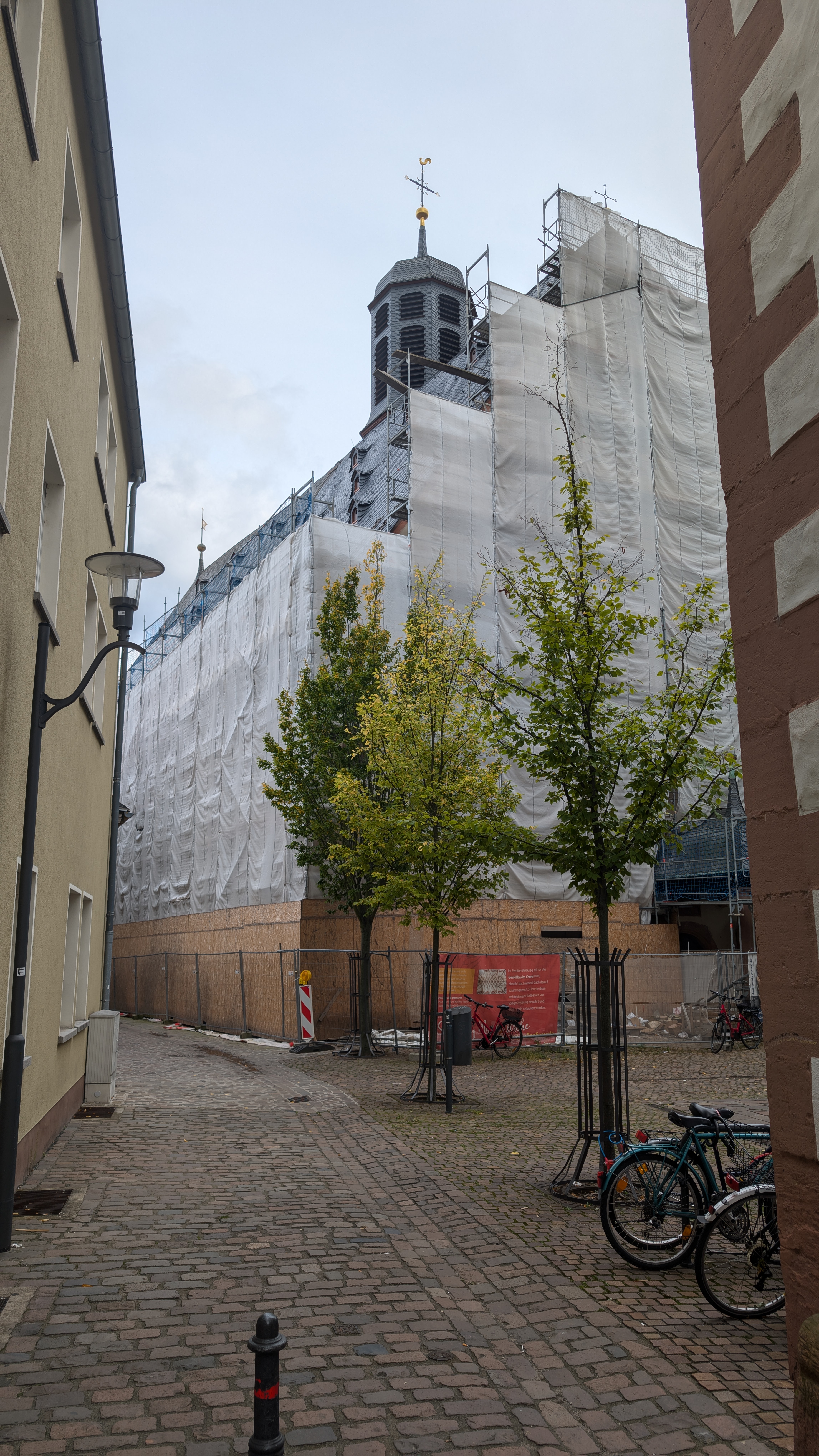 PXL_20240929_132639155.RAW-01.COVER.jpg