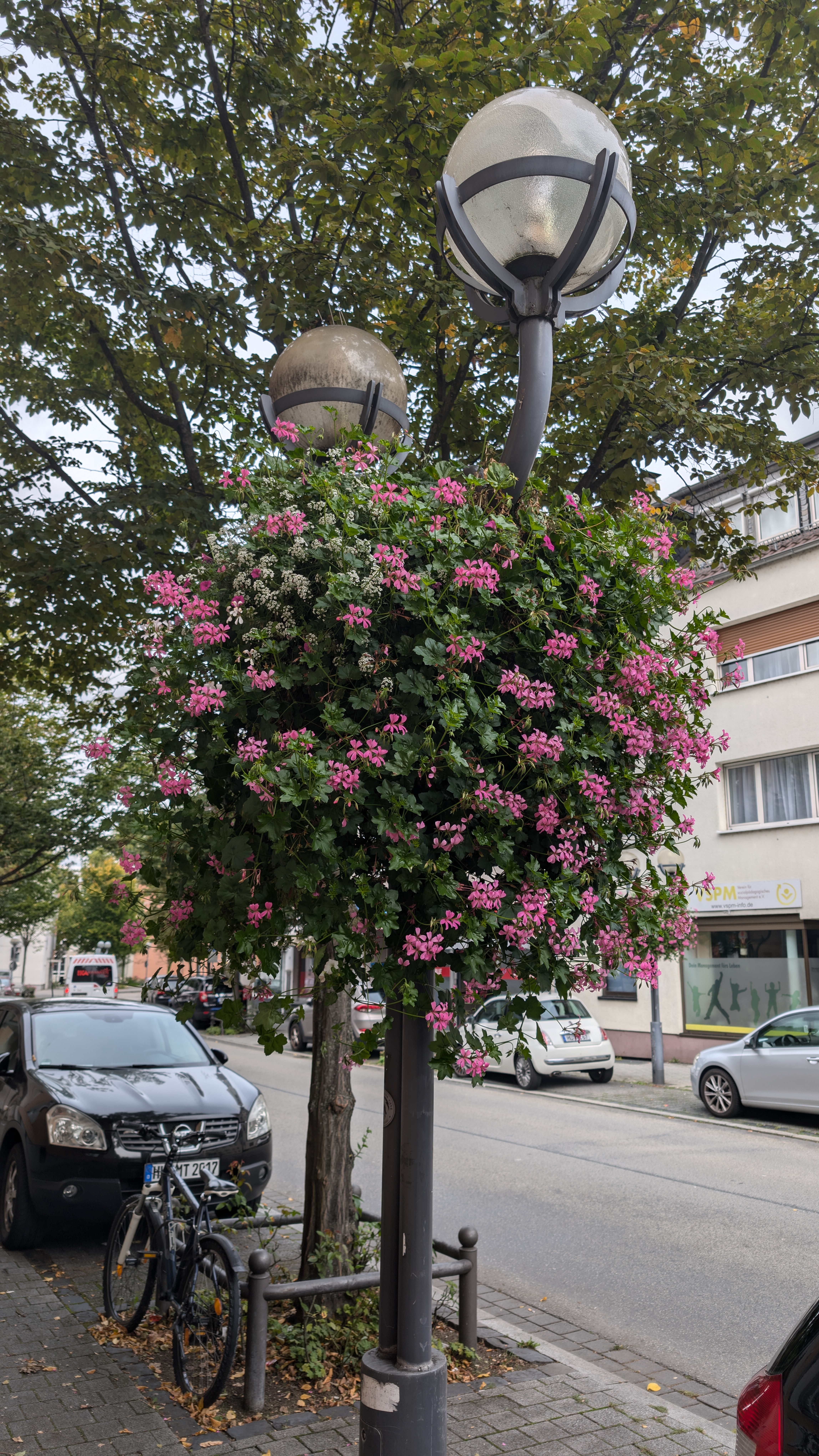 PXL_20240929_133105880.RAW-01.COVER.jpg