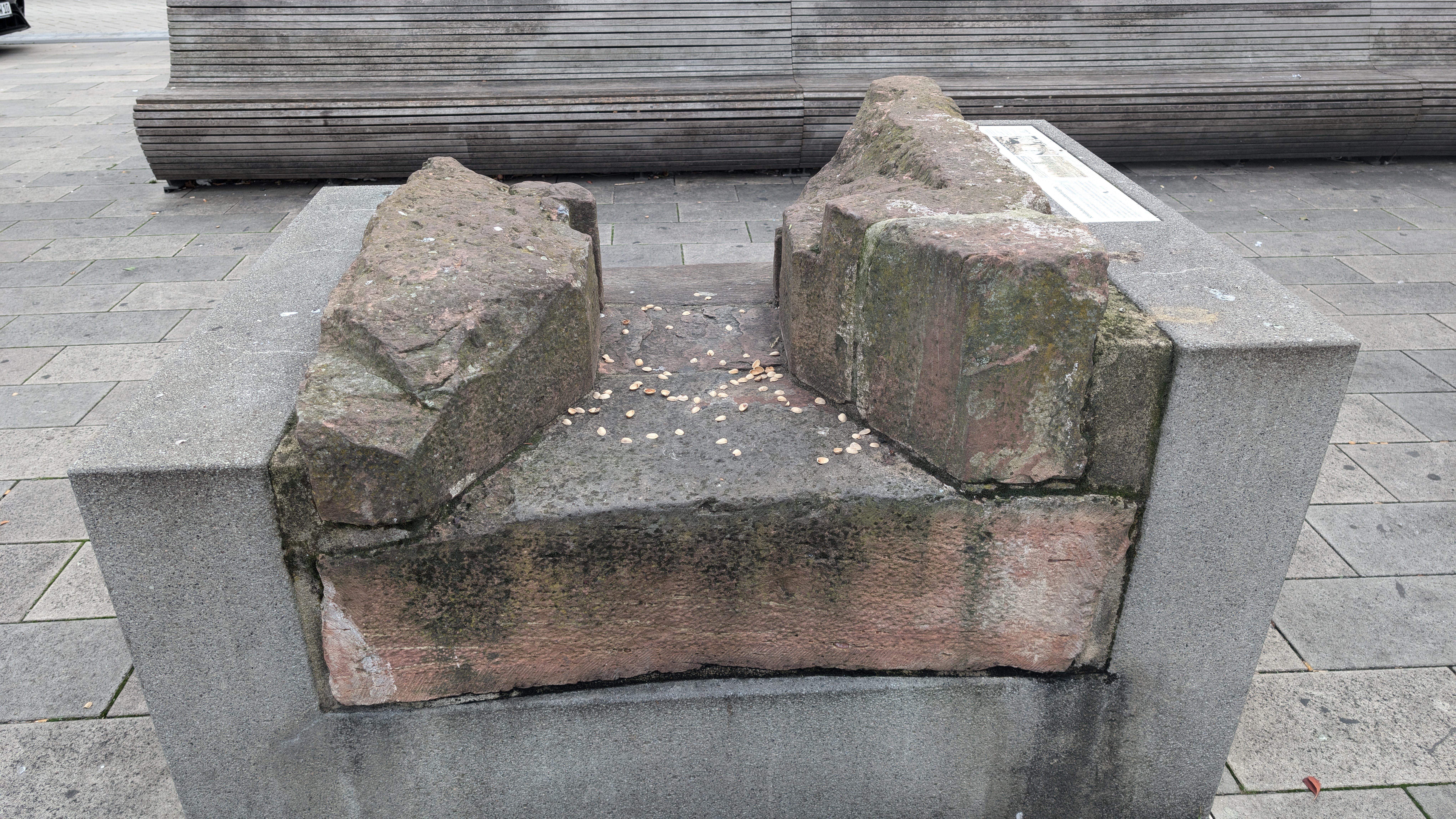 PXL_20240929_134118040.RAW-01.COVER.jpg