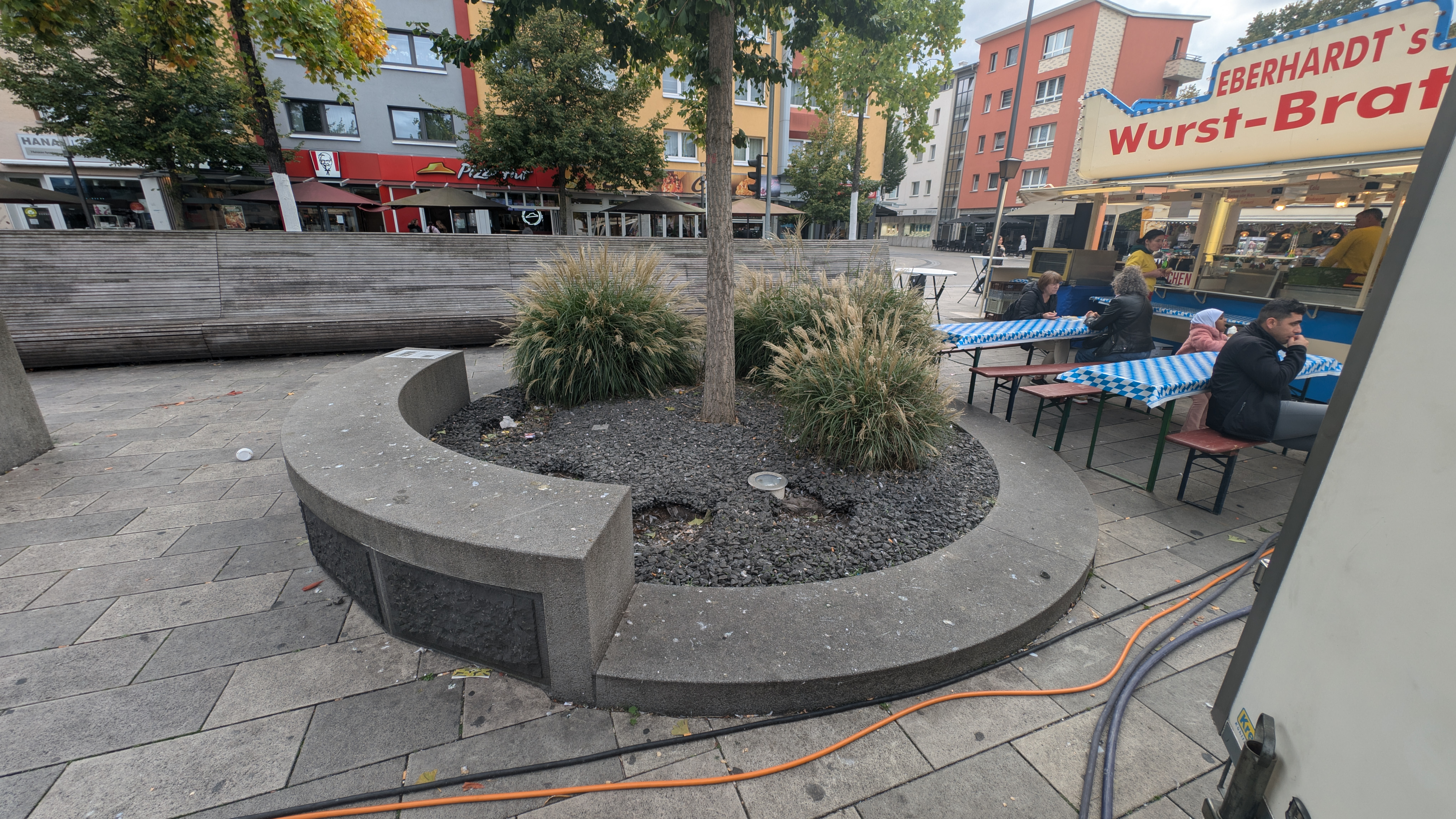 PXL_20240929_134203323.RAW-01.COVER.jpg
