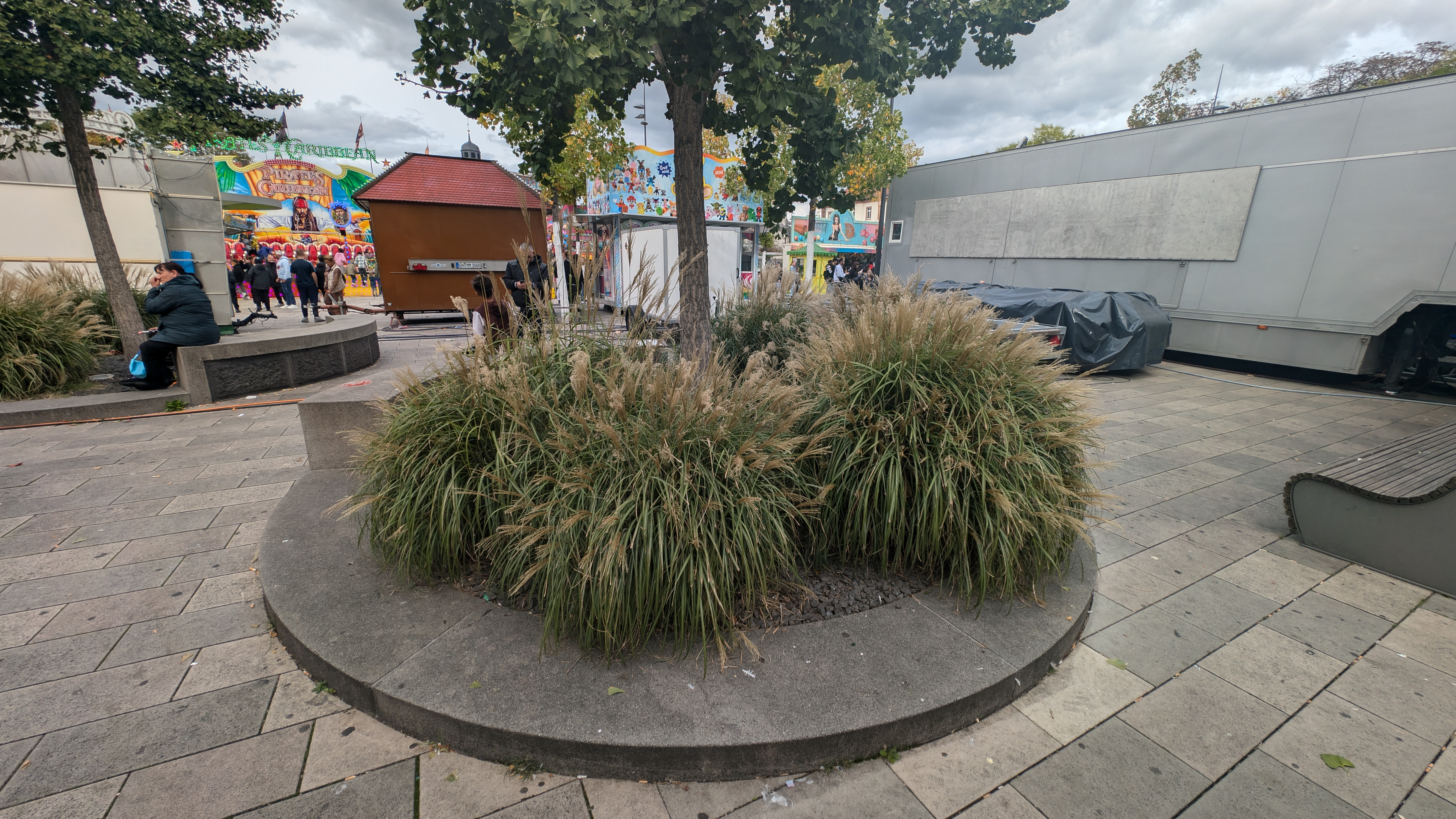 PXL_20240929_134300590.RAW-01.COVER.jpg