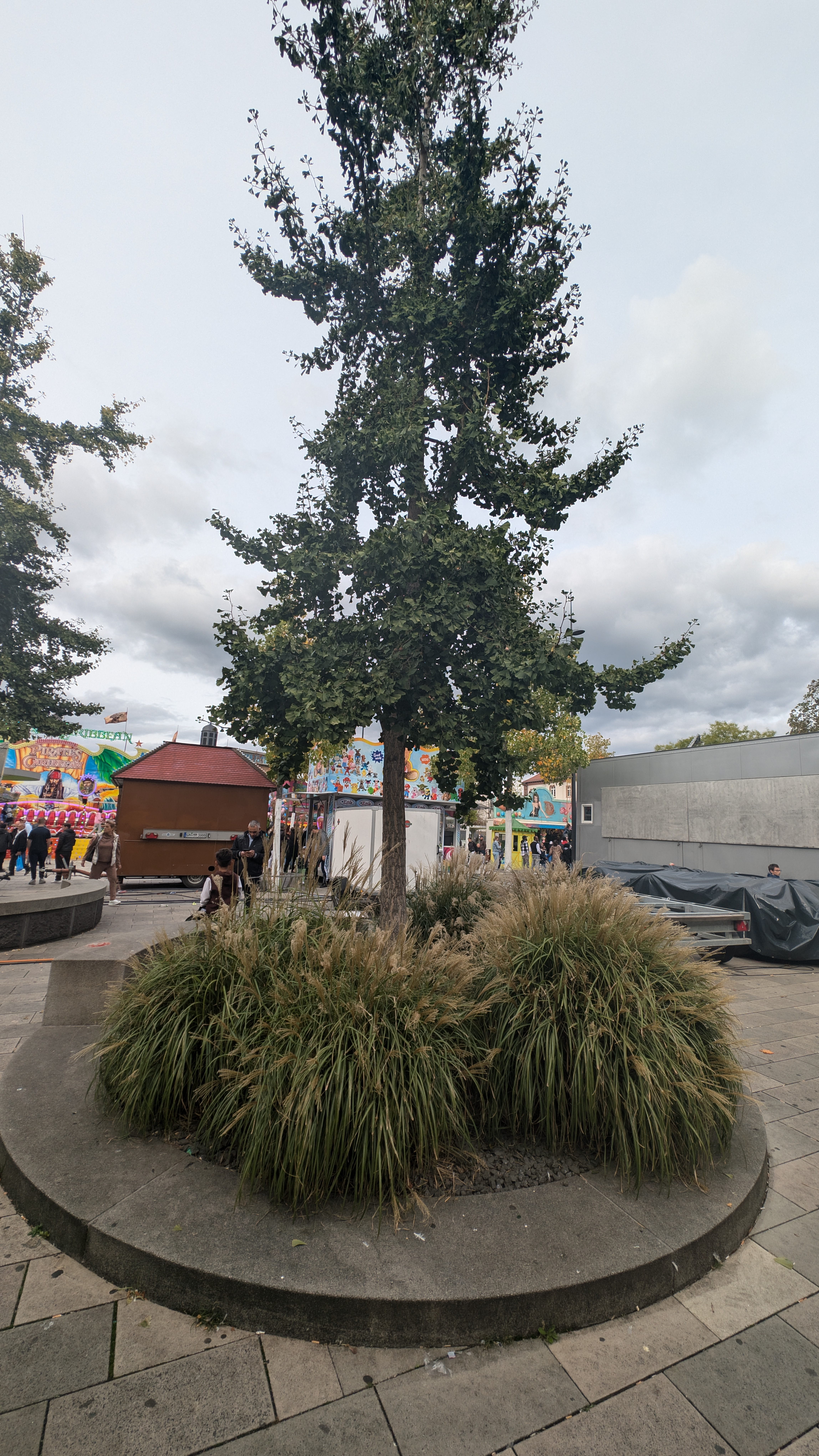 PXL_20240929_134306549.RAW-01.COVER.jpg