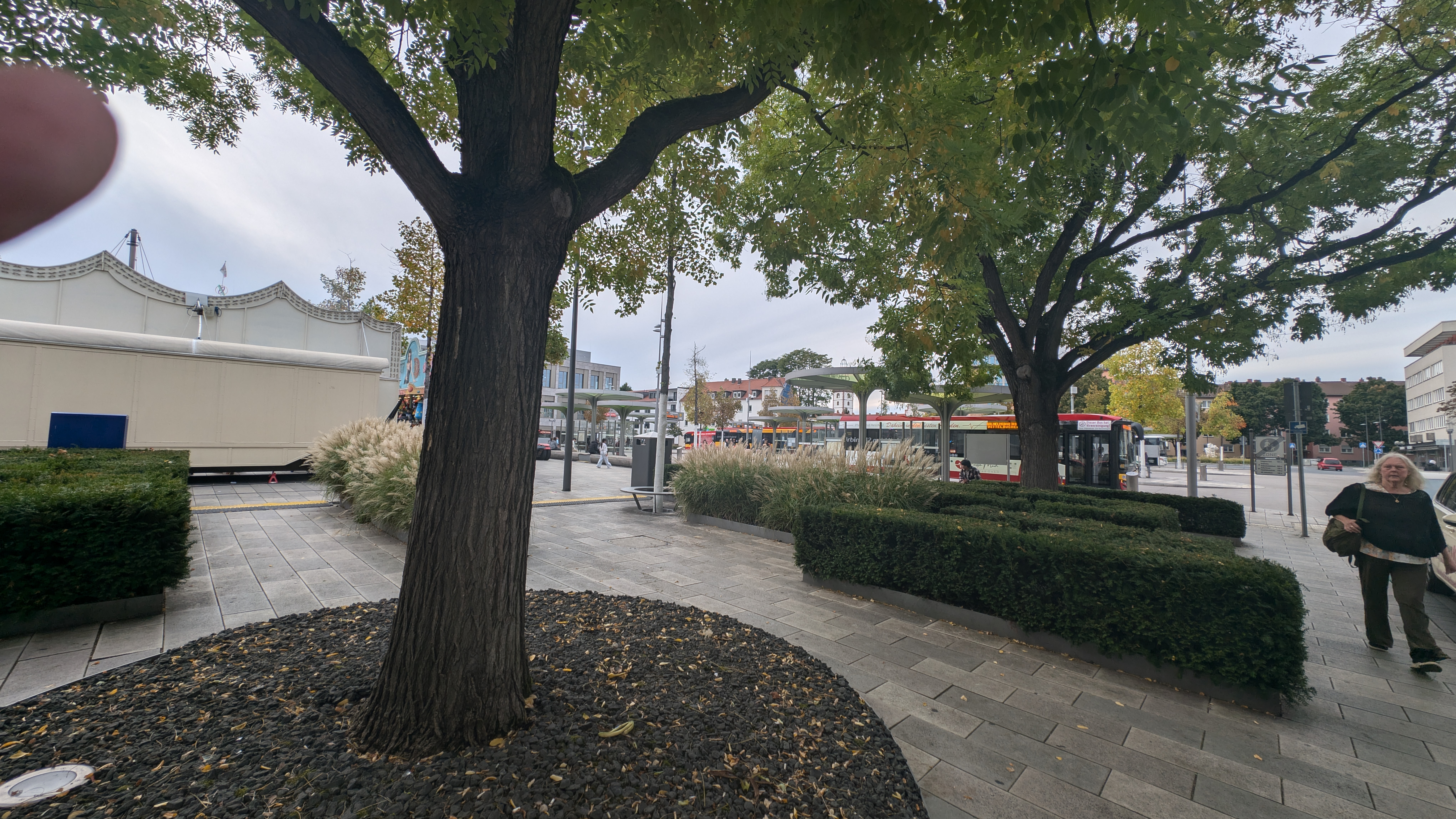 PXL_20240929_154237994.RAW-01.COVER.jpg