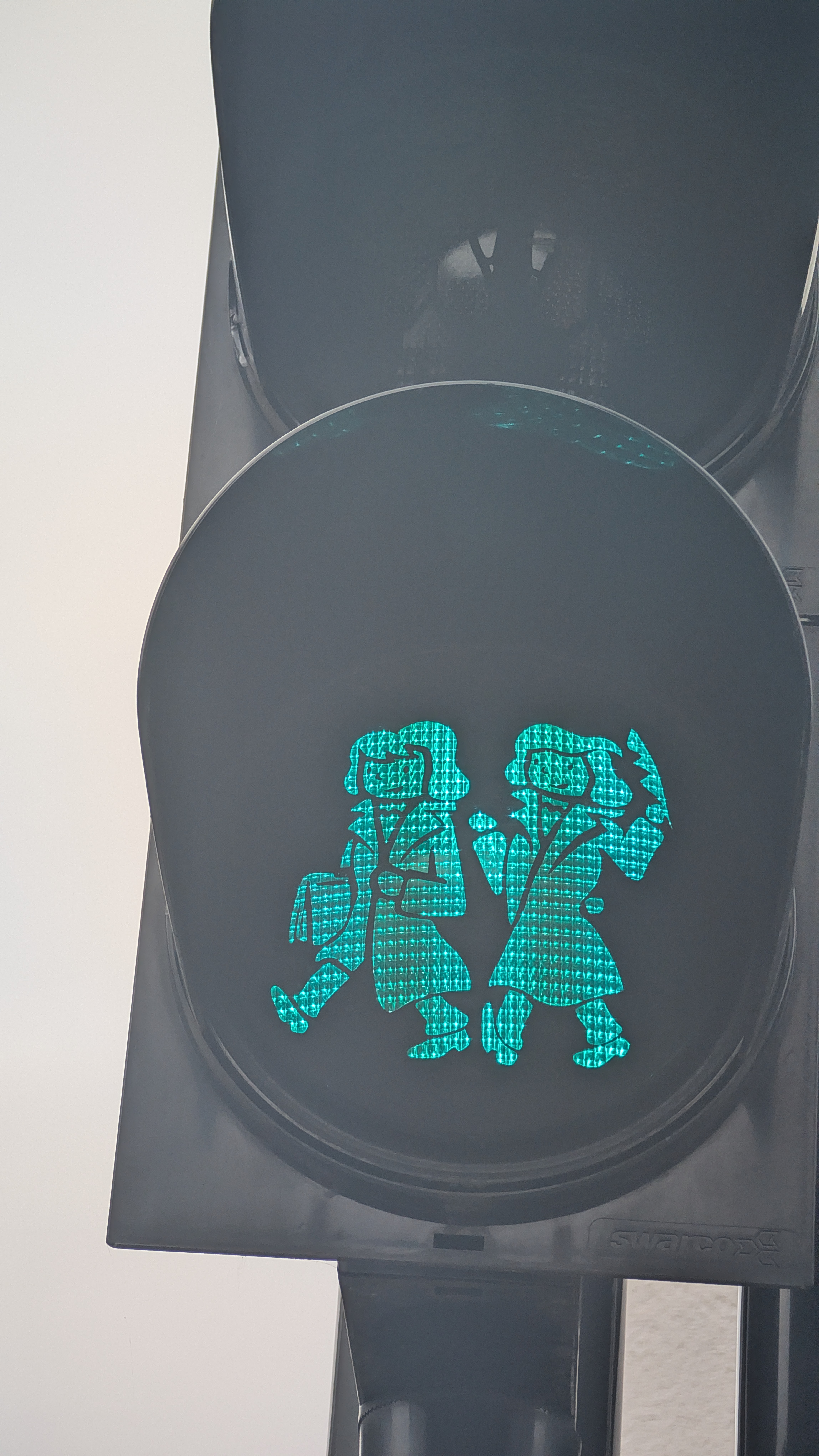 PXL_20240929_154726434.RAW-01.COVER.jpg