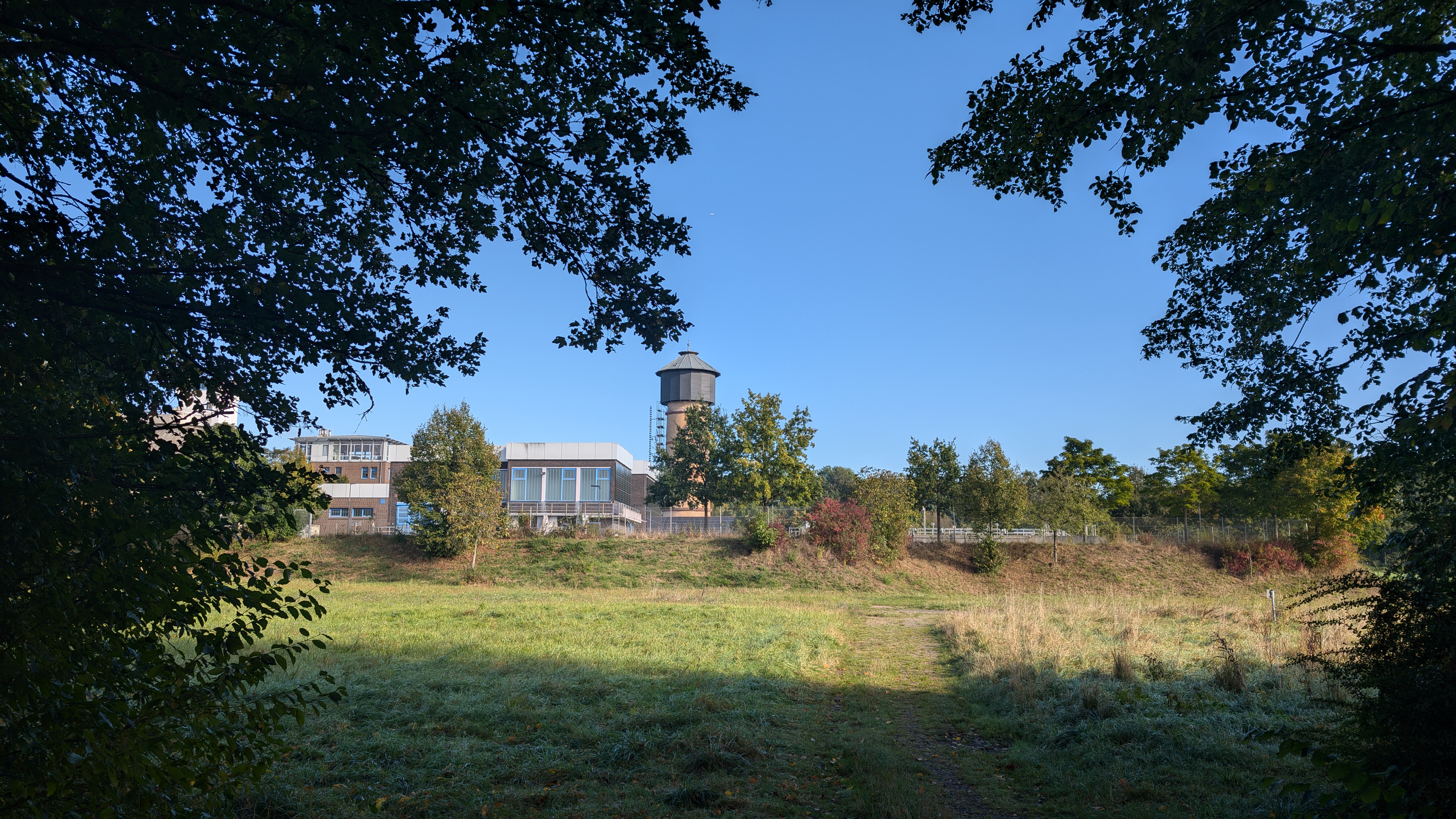 PXL_20240929_081232980.RAW-01.COVER.jpg