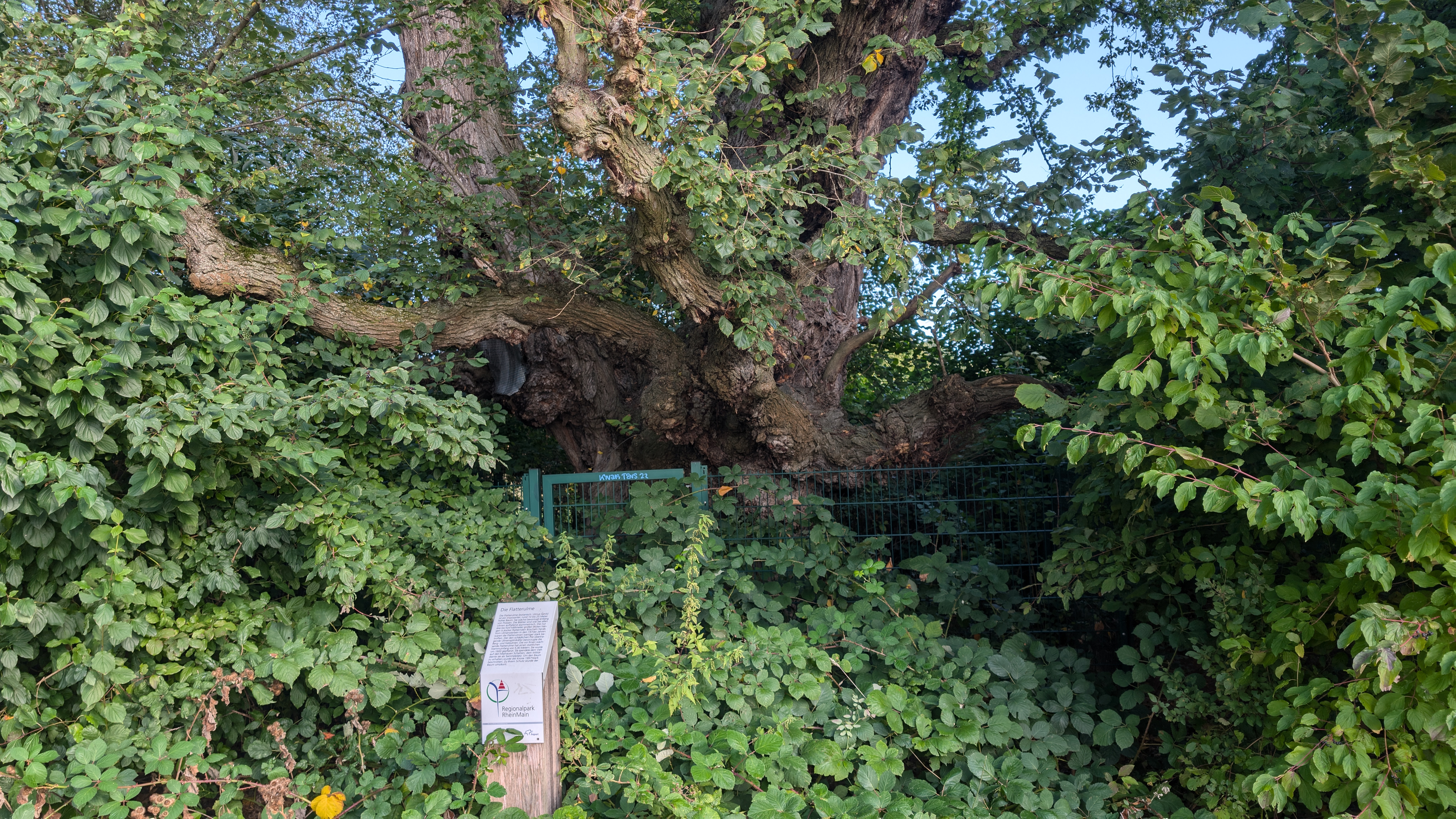 PXL_20240929_081503445.RAW-01.COVER.jpg