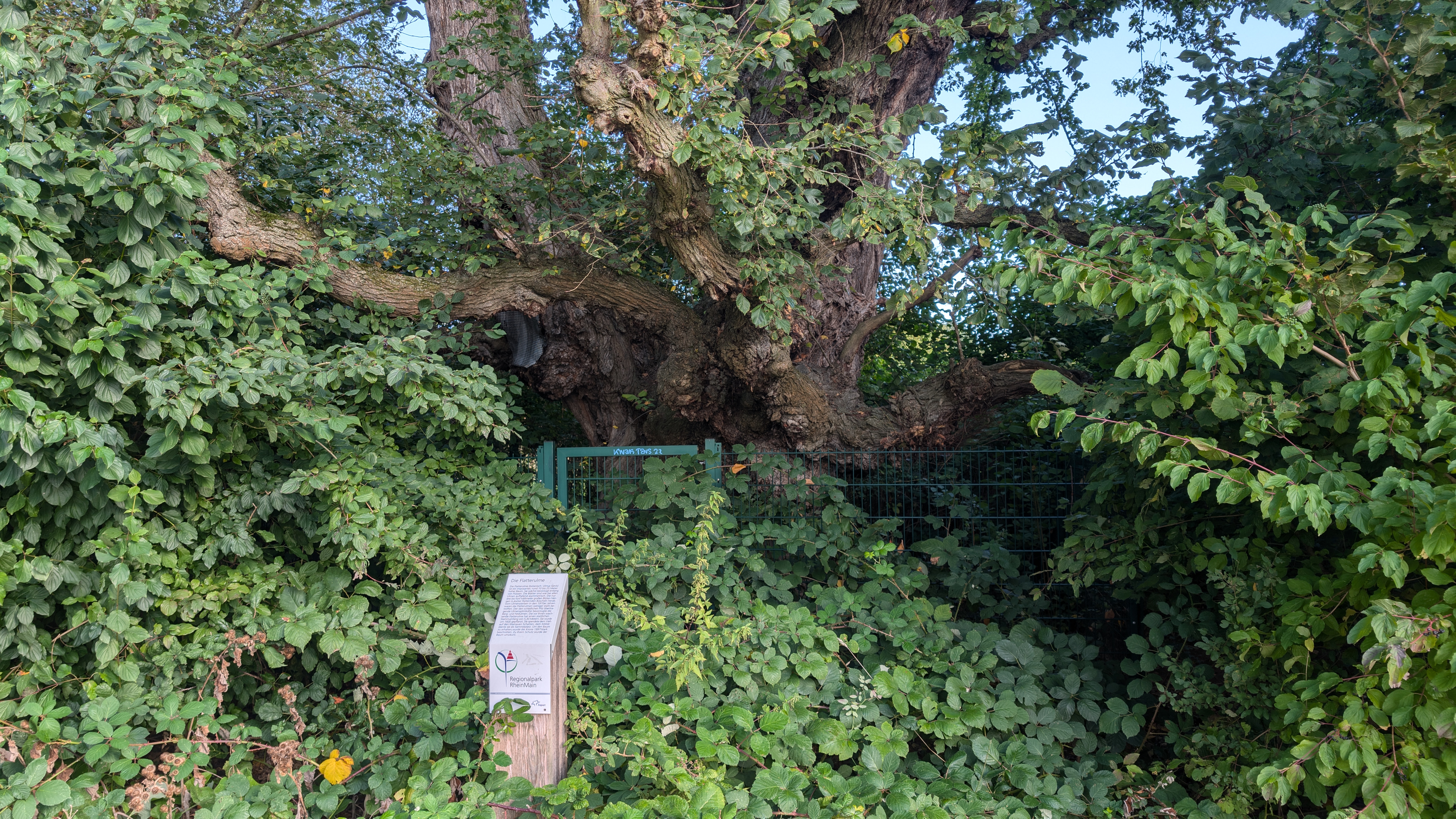 PXL_20240929_081506987.RAW-01.COVER.jpg