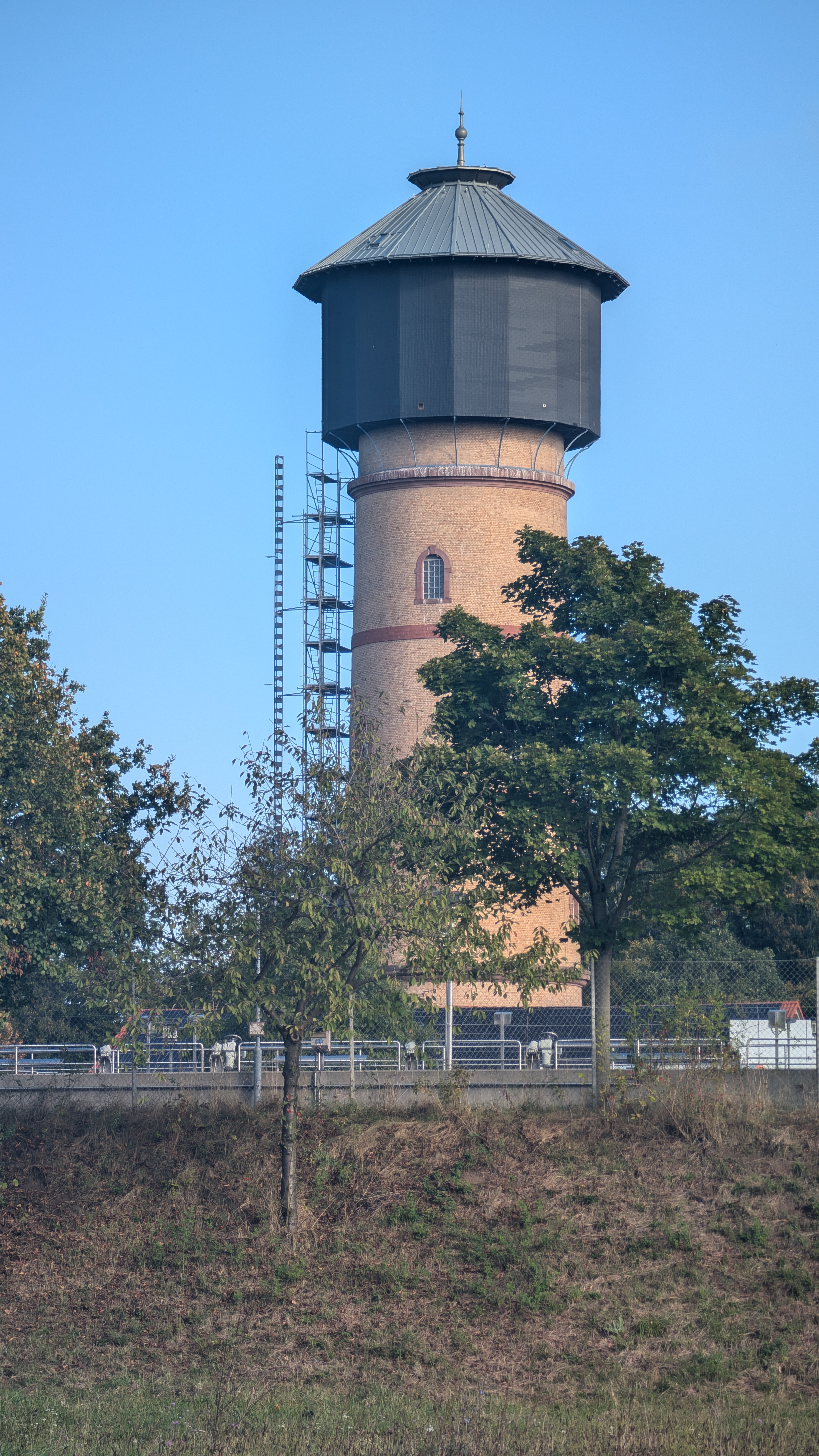 PXL_20240929_081724392.RAW-01.COVER.jpg