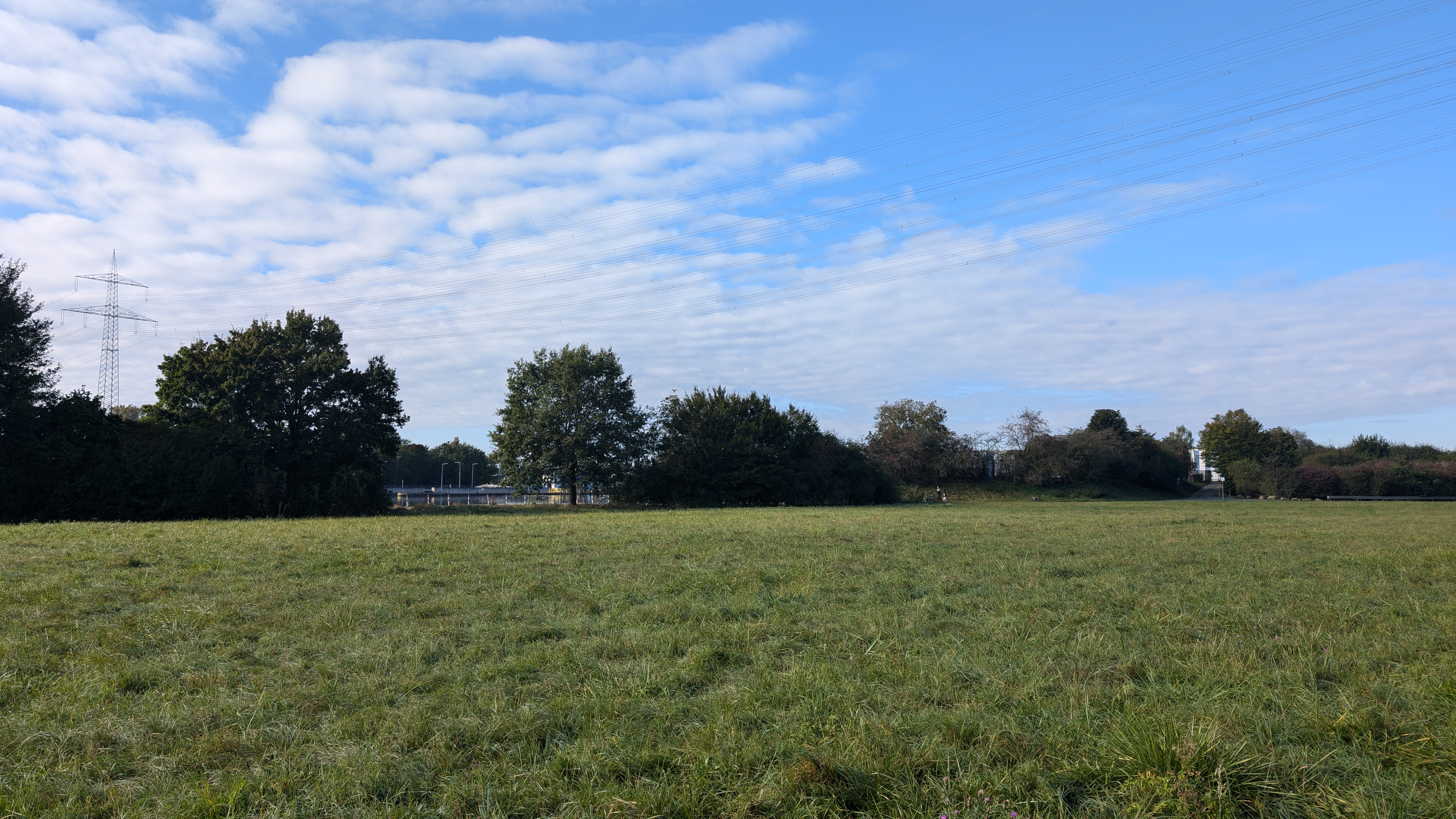 PXL_20240929_082036146.RAW-01.COVER.jpg