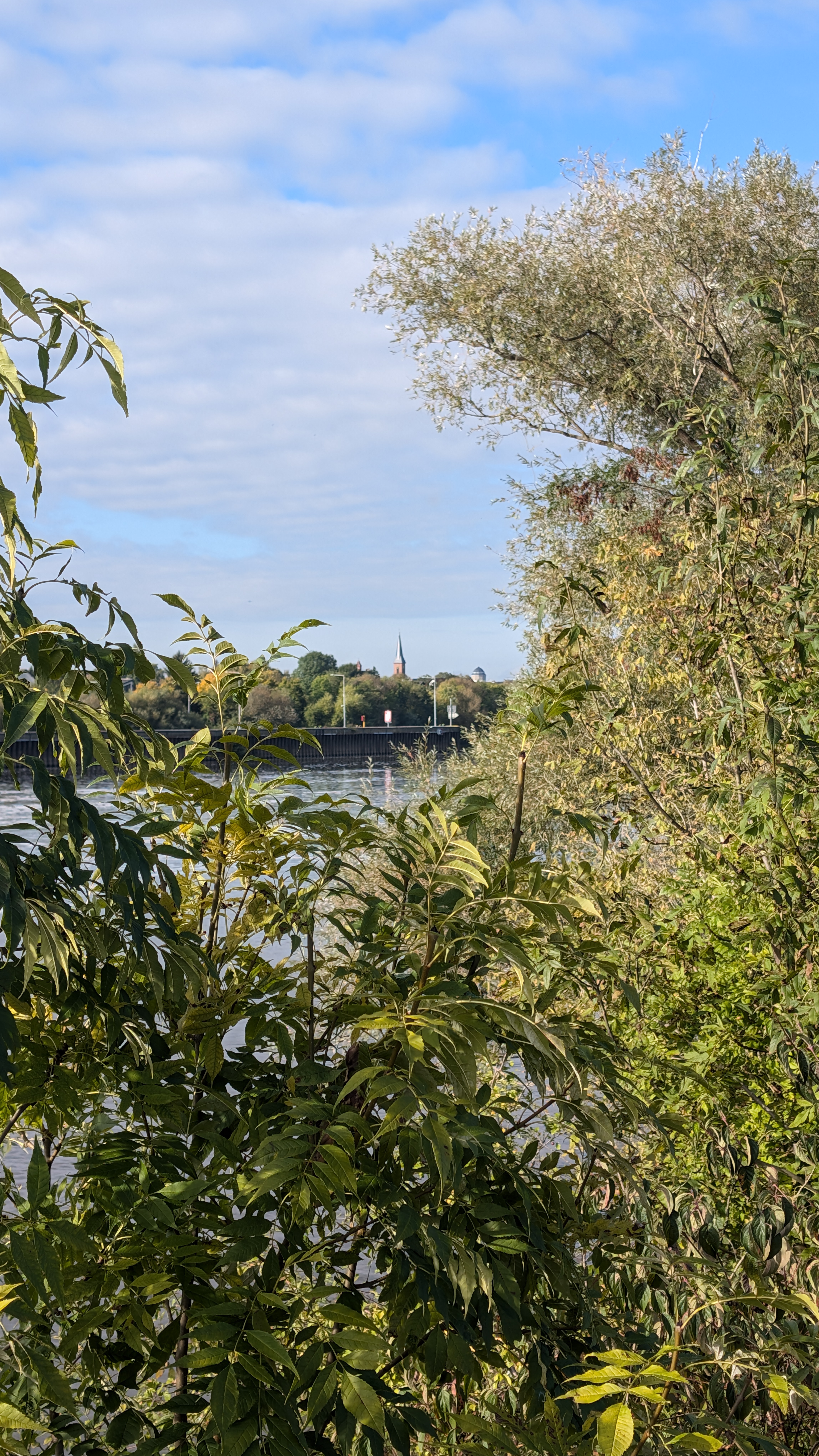 PXL_20240929_082628391.RAW-01.COVER.jpg