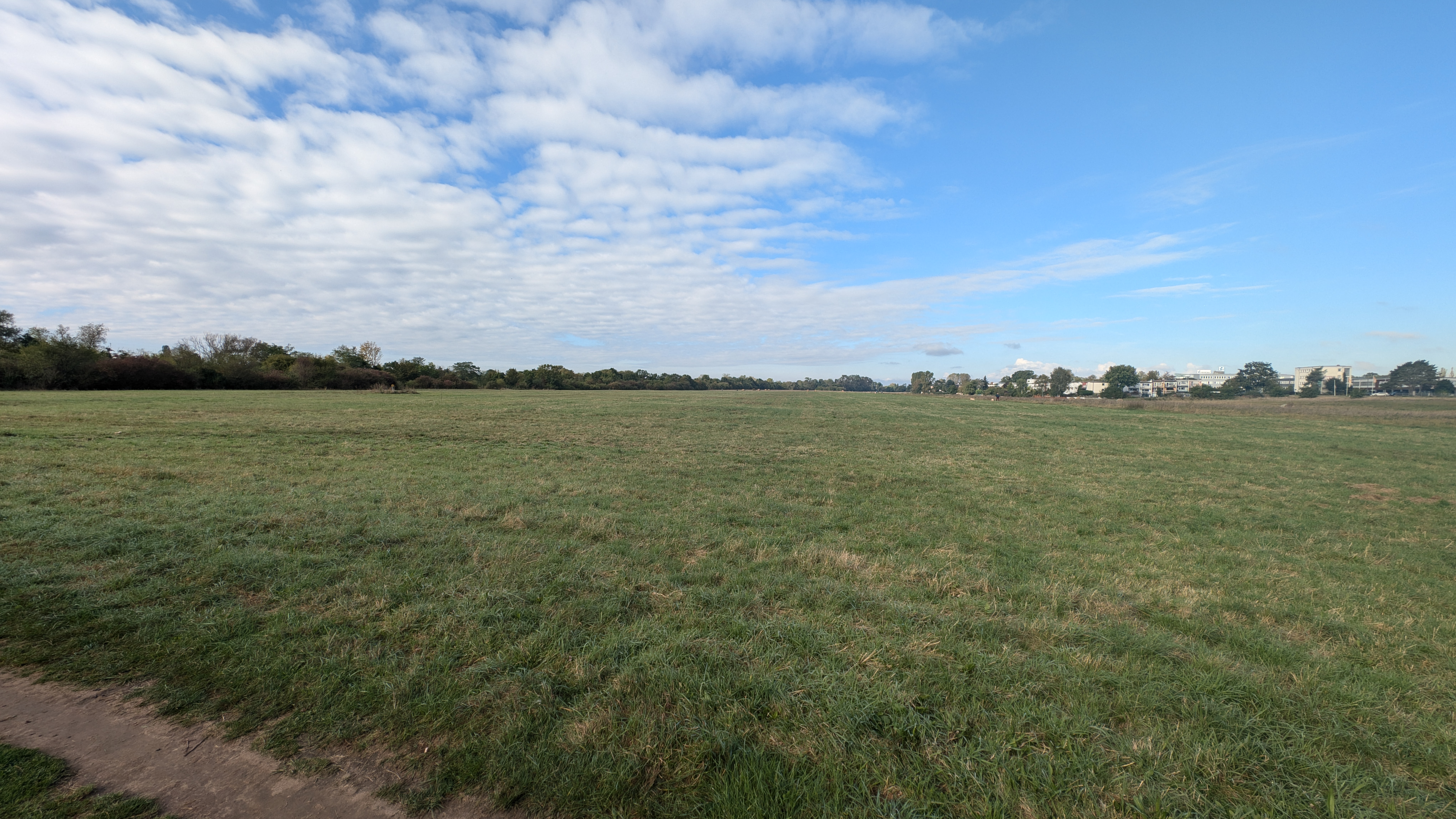 PXL_20240929_083407160.RAW-01.COVER.jpg