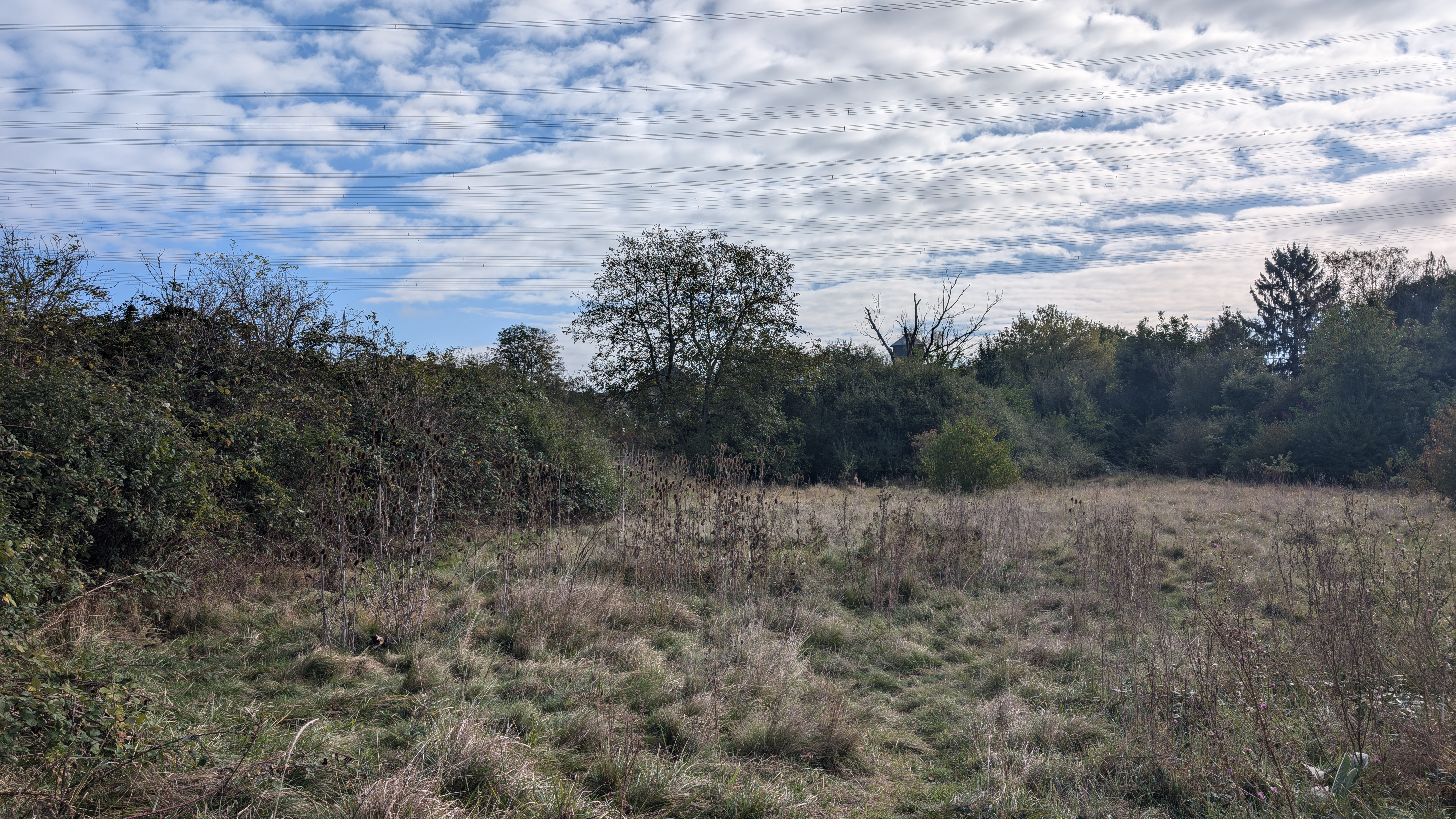 PXL_20240929_083850329.RAW-01.COVER.jpg