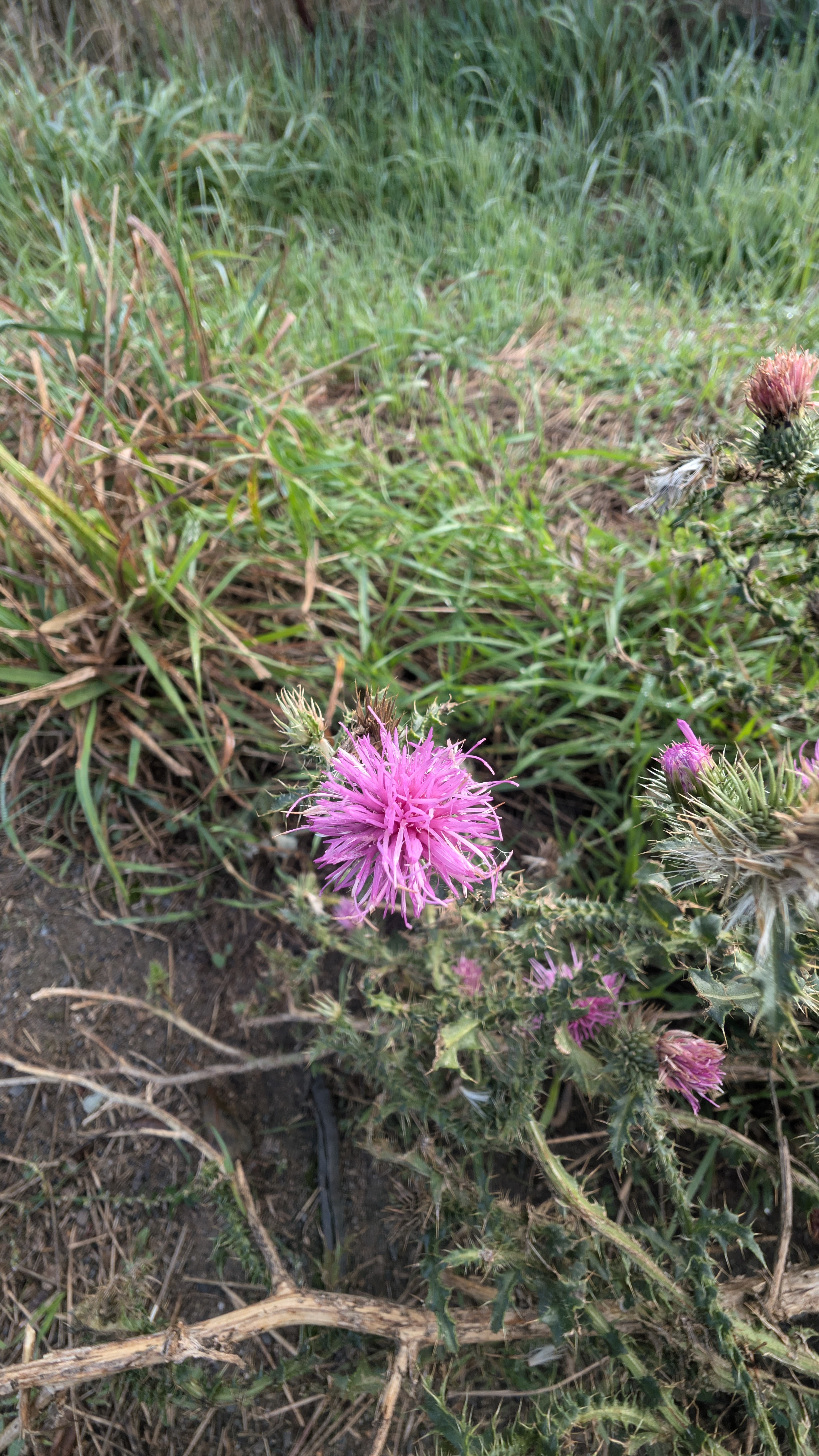 PXL_20240929_084103207.RAW-01.COVER.jpg