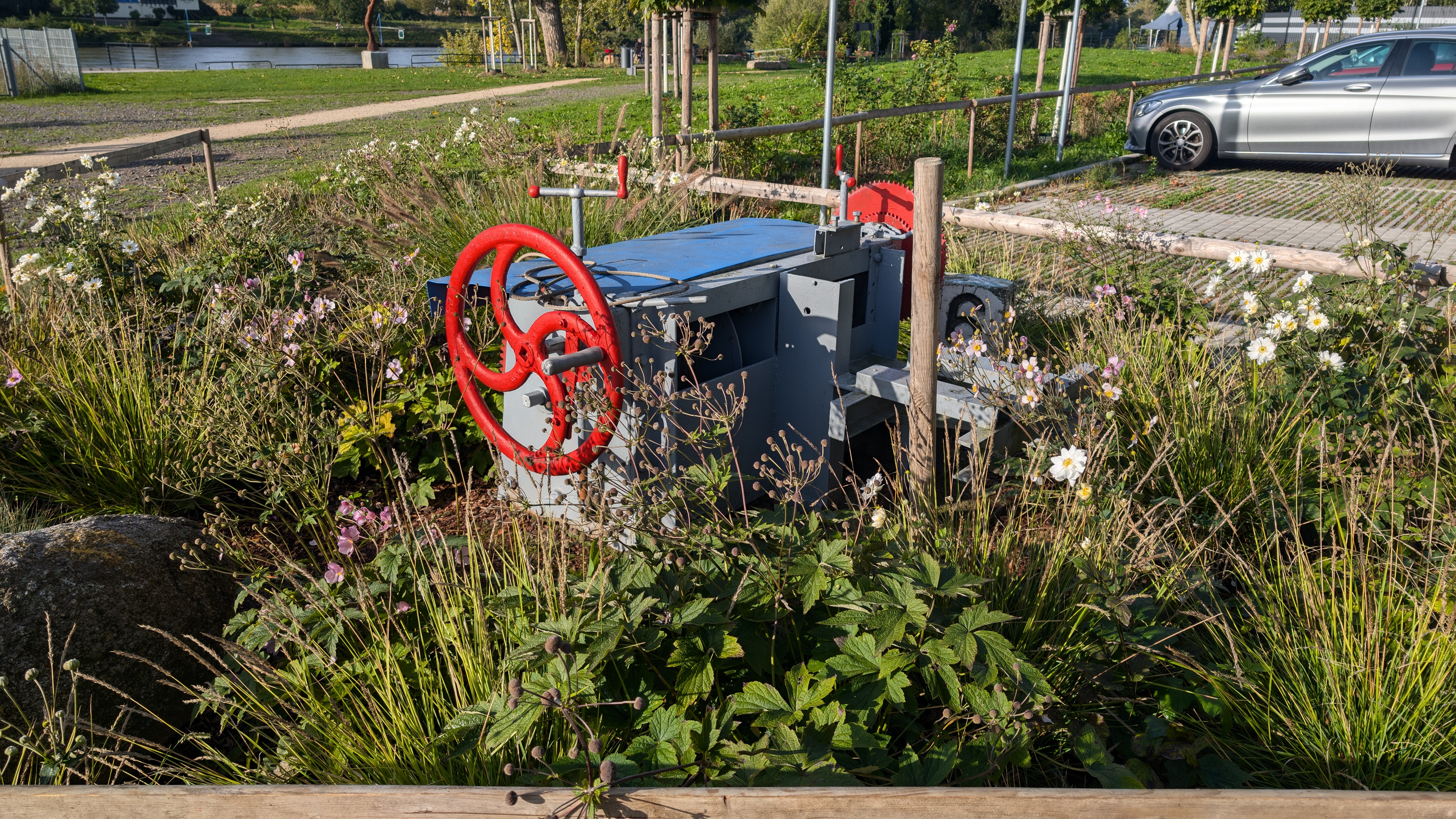 PXL_20240928_074118708.RAW-01.COVER.jpg