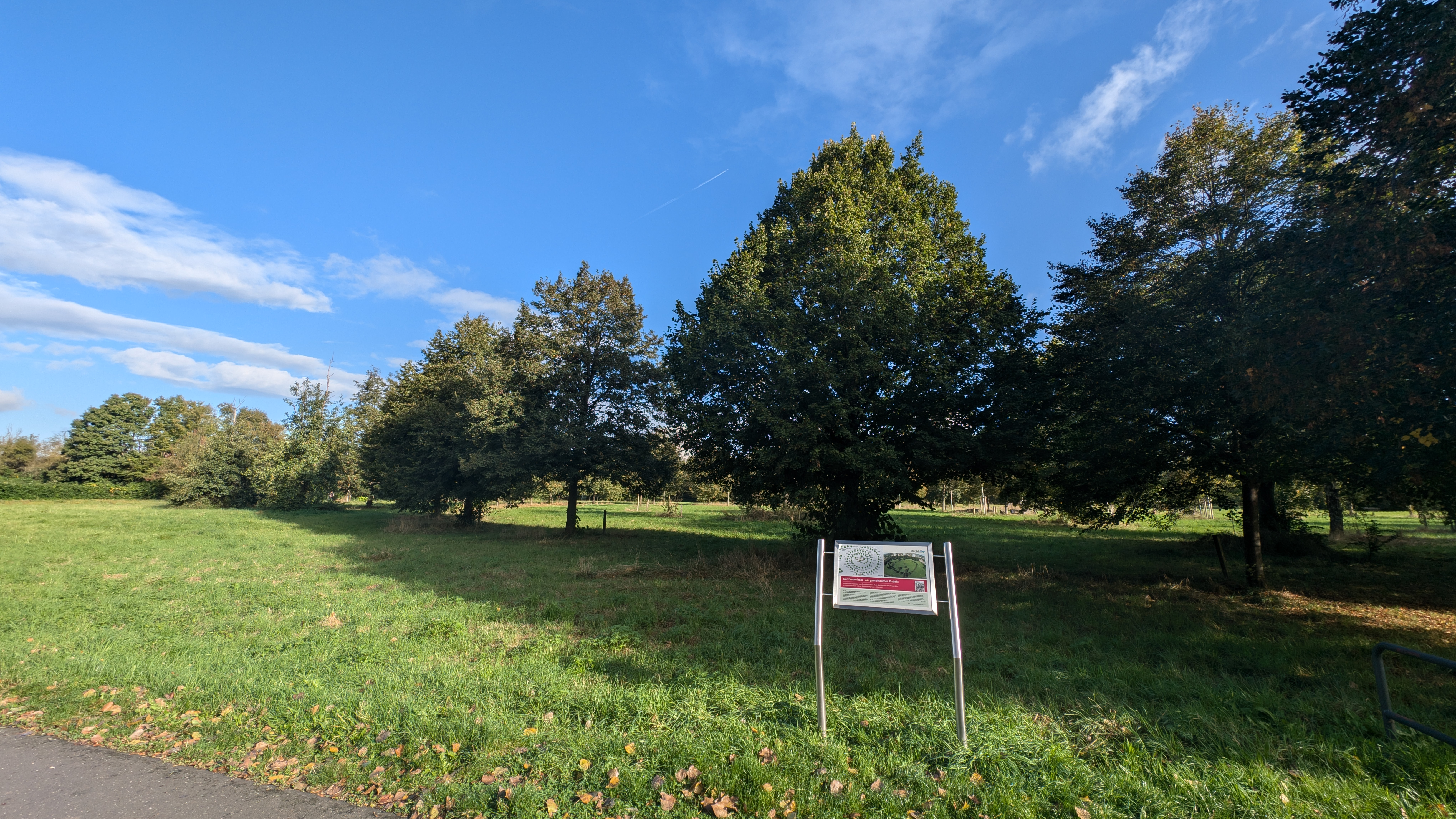 PXL_20240928_075517908.RAW-01.COVER.jpg
