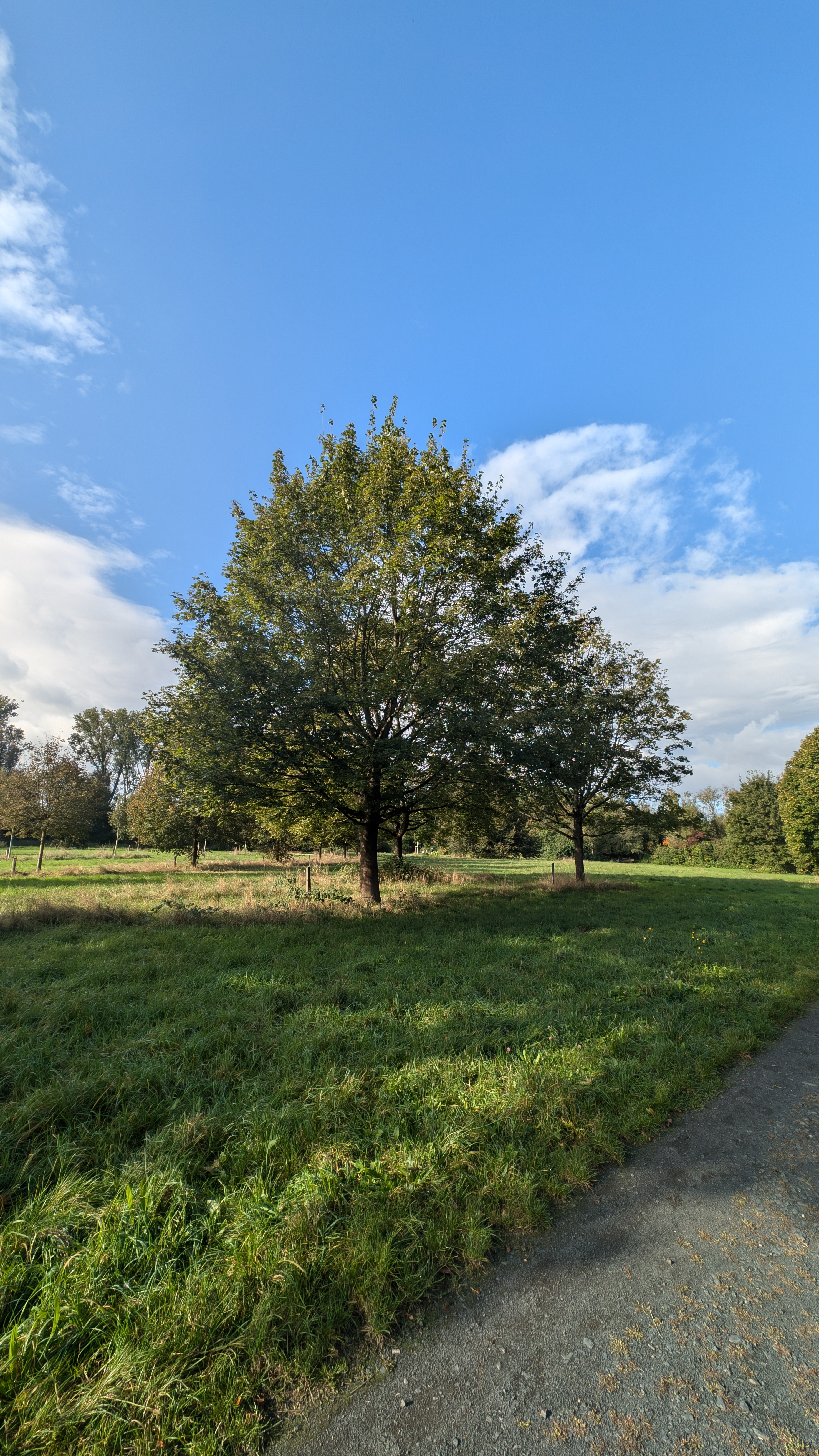 PXL_20240928_075934443.RAW-01.COVER.jpg