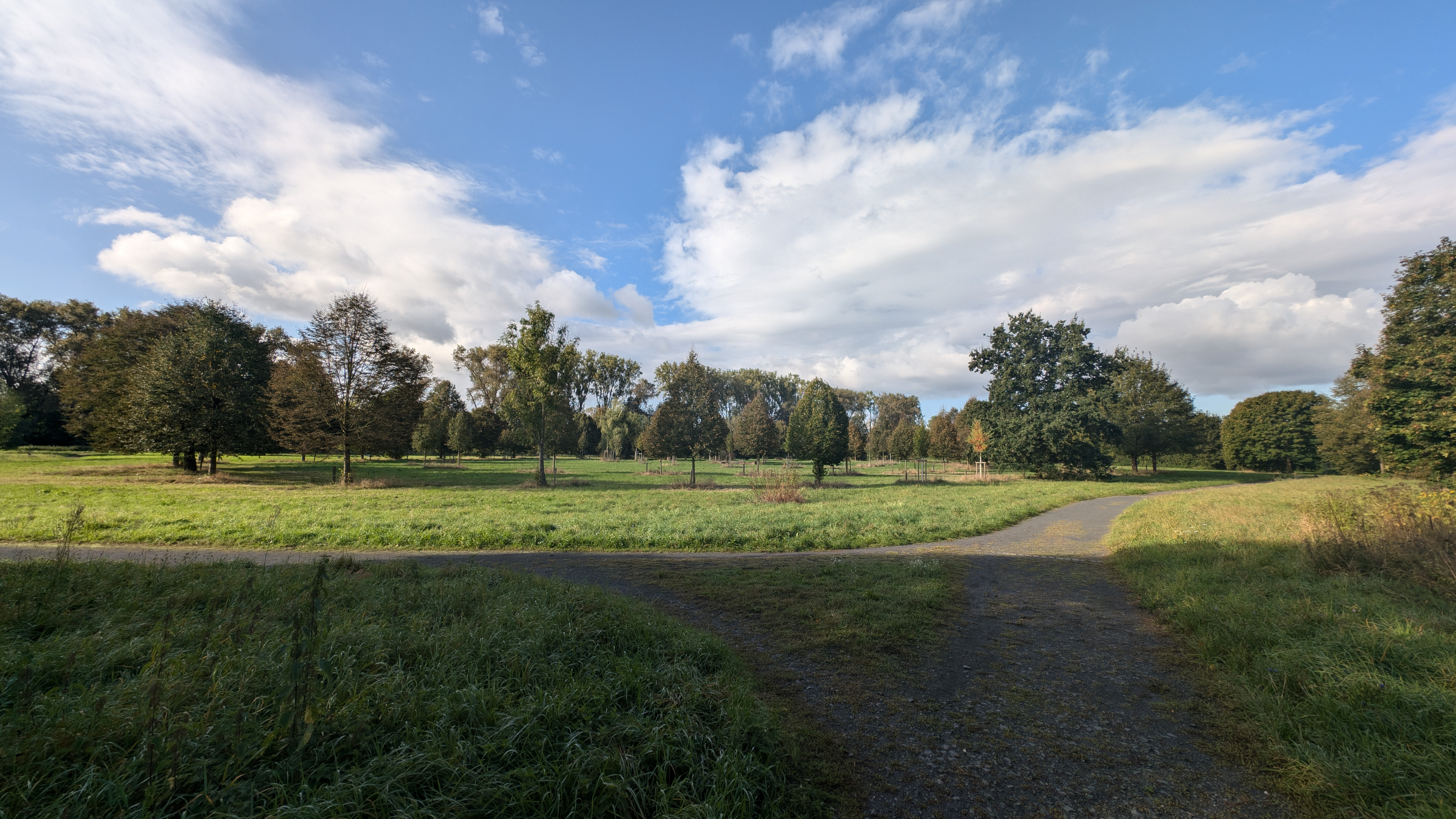 PXL_20240928_080111586.RAW-01.COVER.jpg