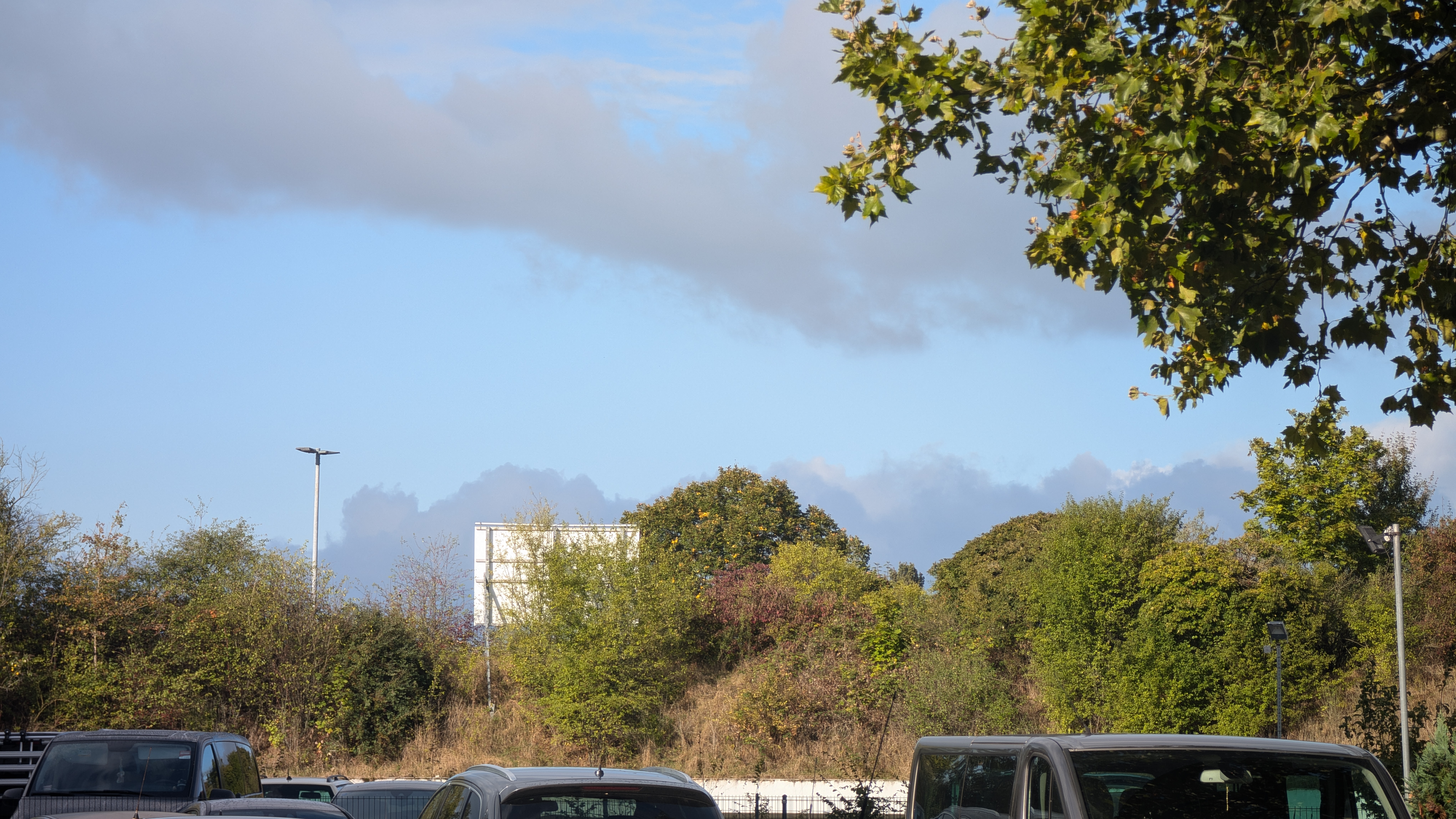 PXL_20240928_080942443.RAW-01.COVER.jpg