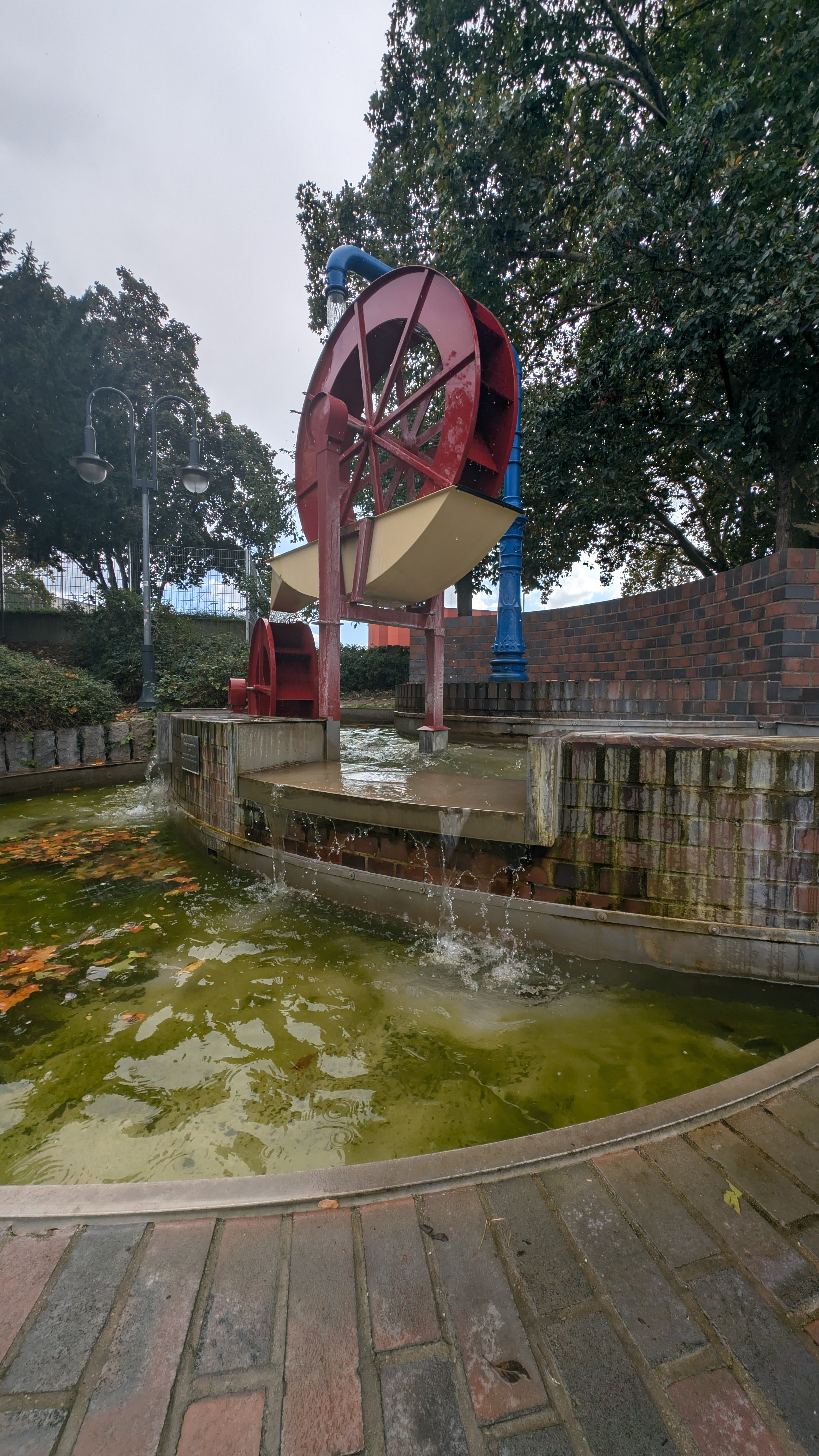 PXL_20240928_112615109.RAW-01.COVER.jpg