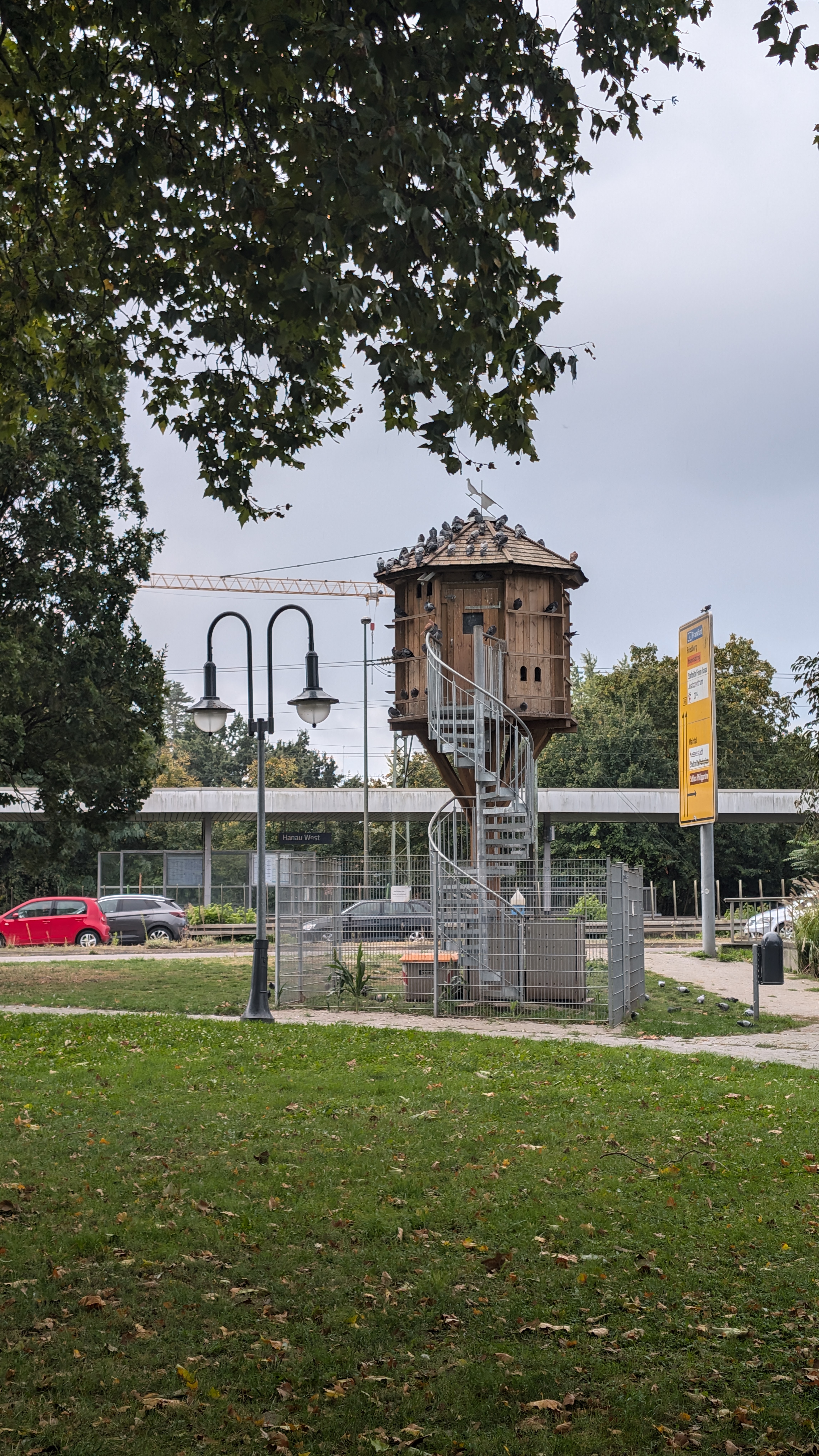 PXL_20240928_112717851.RAW-01.COVER.jpg